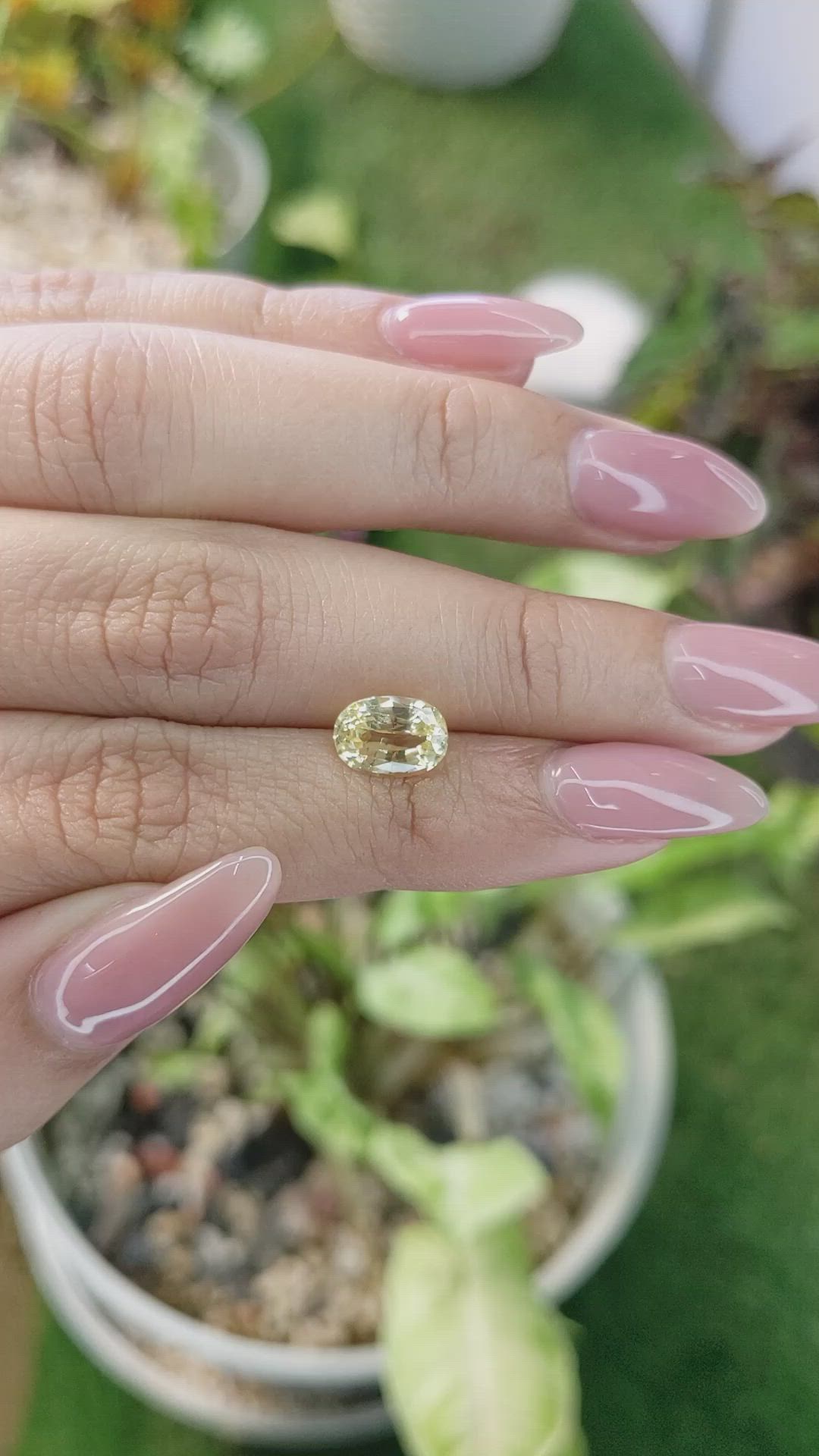 2.36 Ct. Yellow Sapphire from Ceylon (Sri Lanka) Size Video