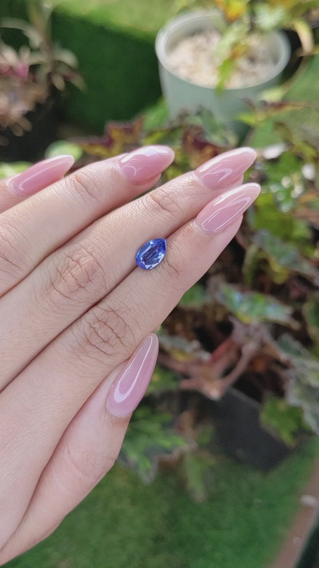 1.65 Ct. Blue Sapphire from Ceylon (Sri Lanka) Size Video