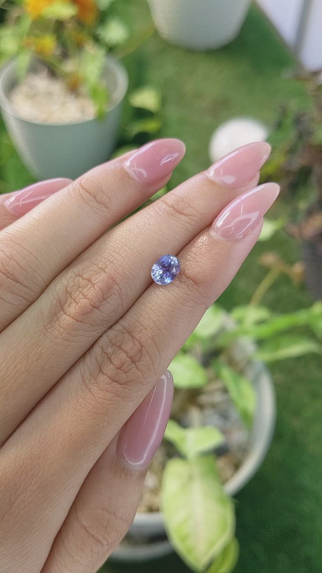 1.33 Ct. Bi Color Sapphire from Ceylon (Sri Lanka) Size Video