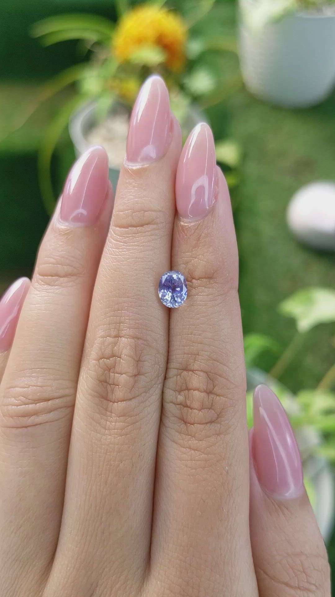 1.33 Ct. Bi Color Sapphire from Ceylon (Sri Lanka) Size Video