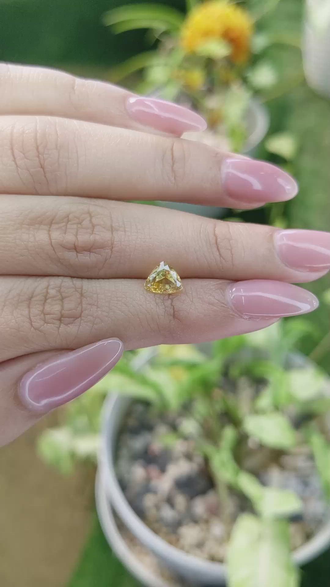 1.53 Ct. Orangish Yellow Sapphire from Ceylon (Sri Lanka) Size Video