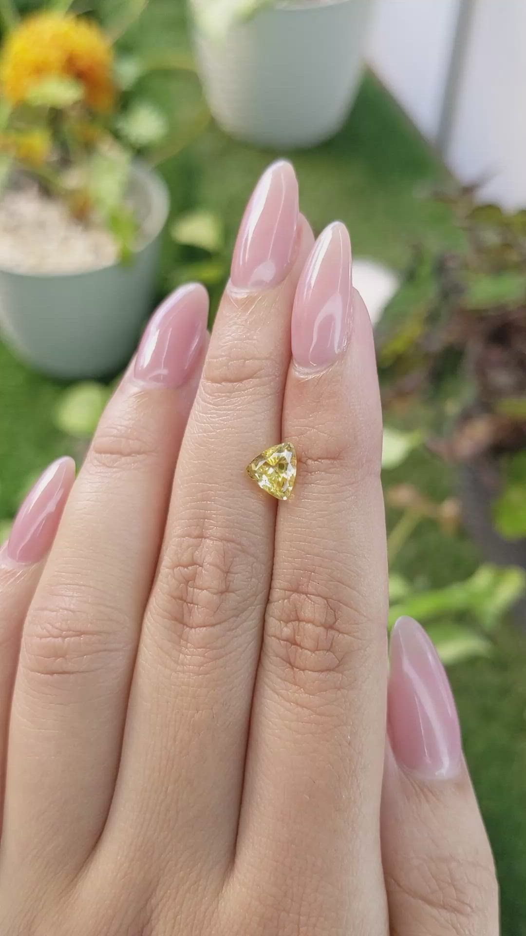 1.53 Ct. Orangish Yellow Sapphire from Ceylon (Sri Lanka) Size Video