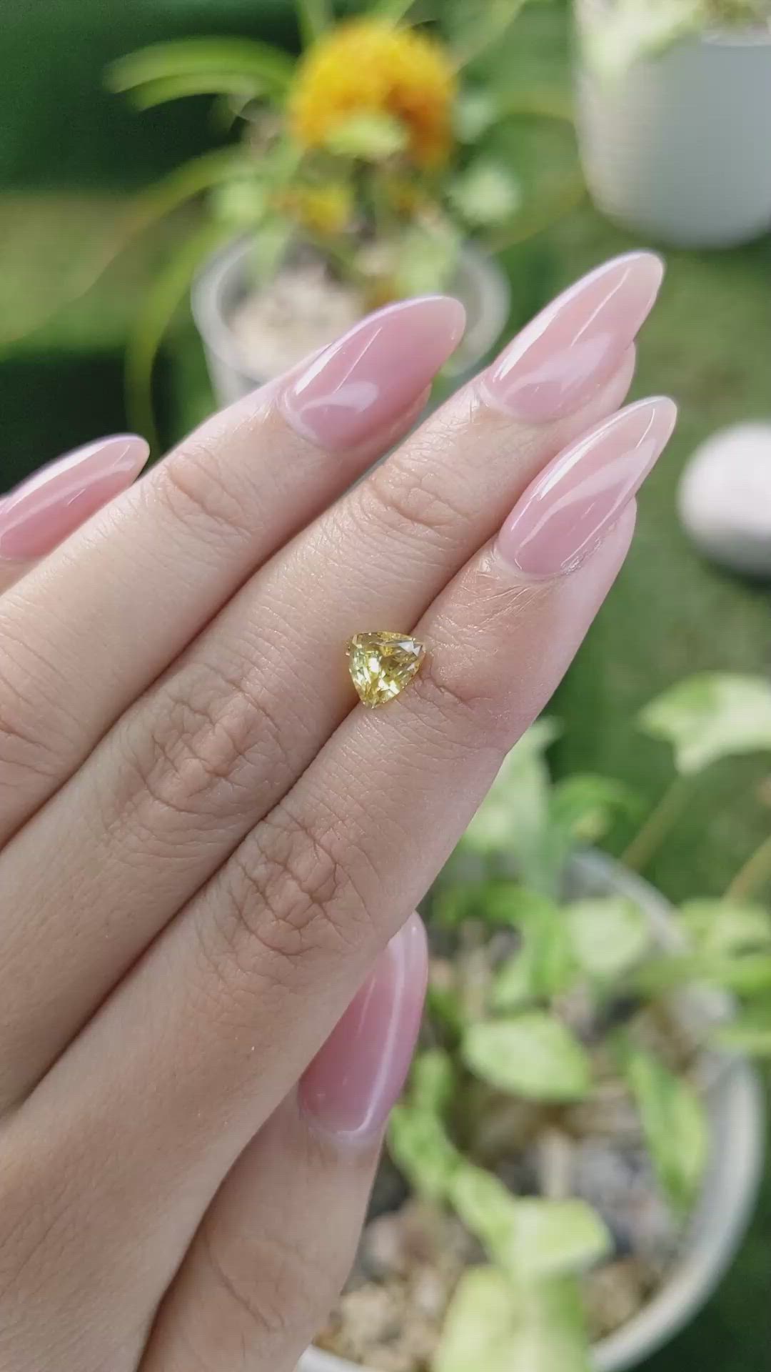 1.53 Ct. Orangish Yellow Sapphire from Ceylon (Sri Lanka) Size Video