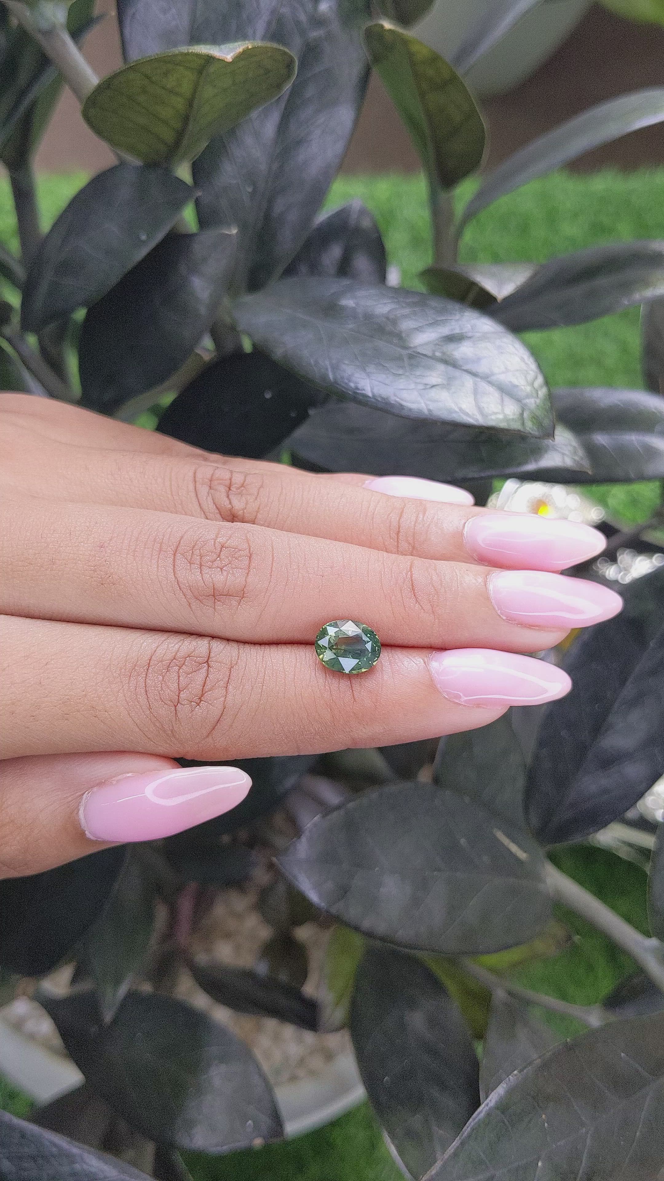 2.61 Ct. Bi Color Sapphire from Madagascar Size Video