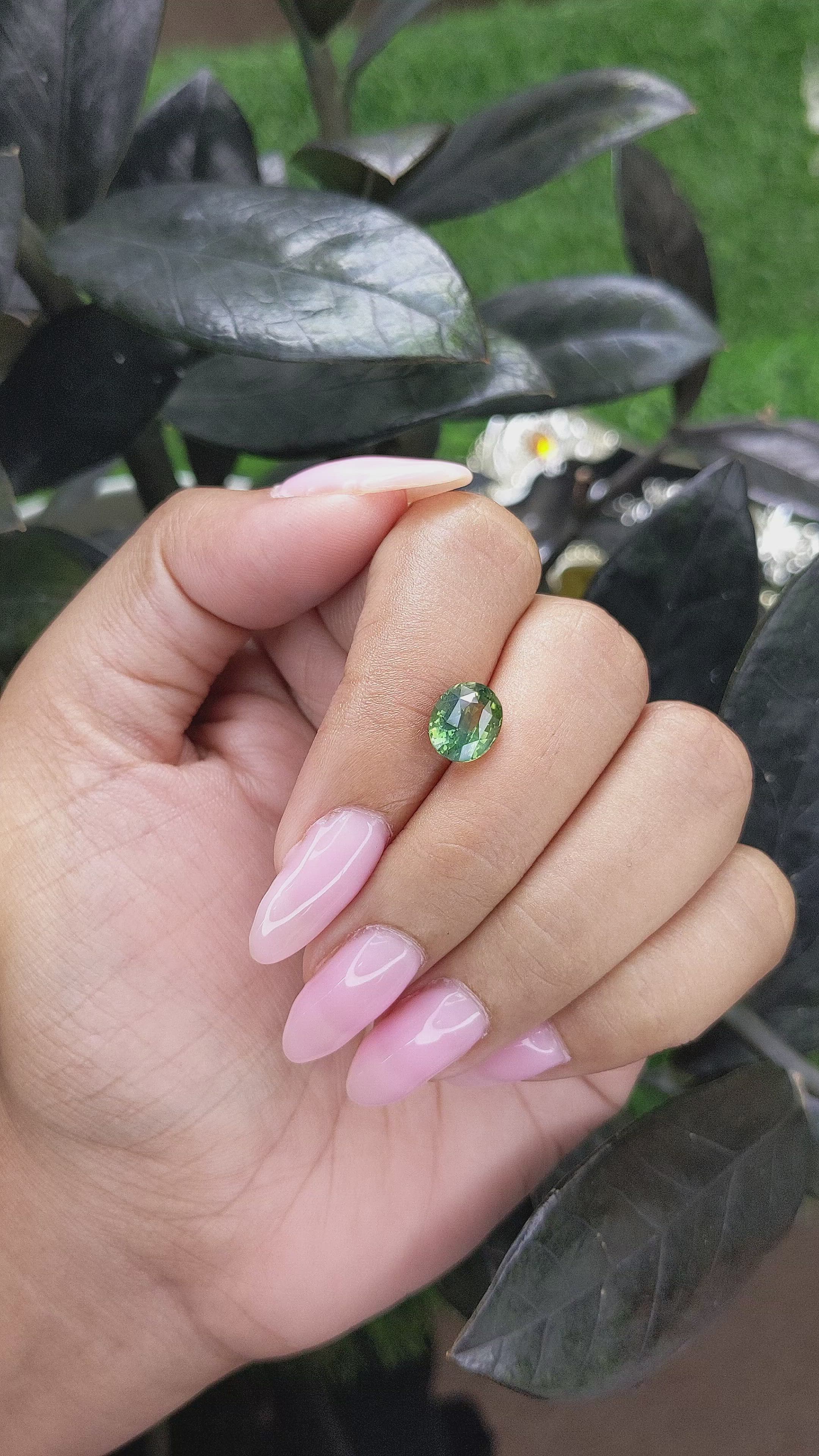 2.61 Ct. Bi Color Sapphire from Madagascar Size Video