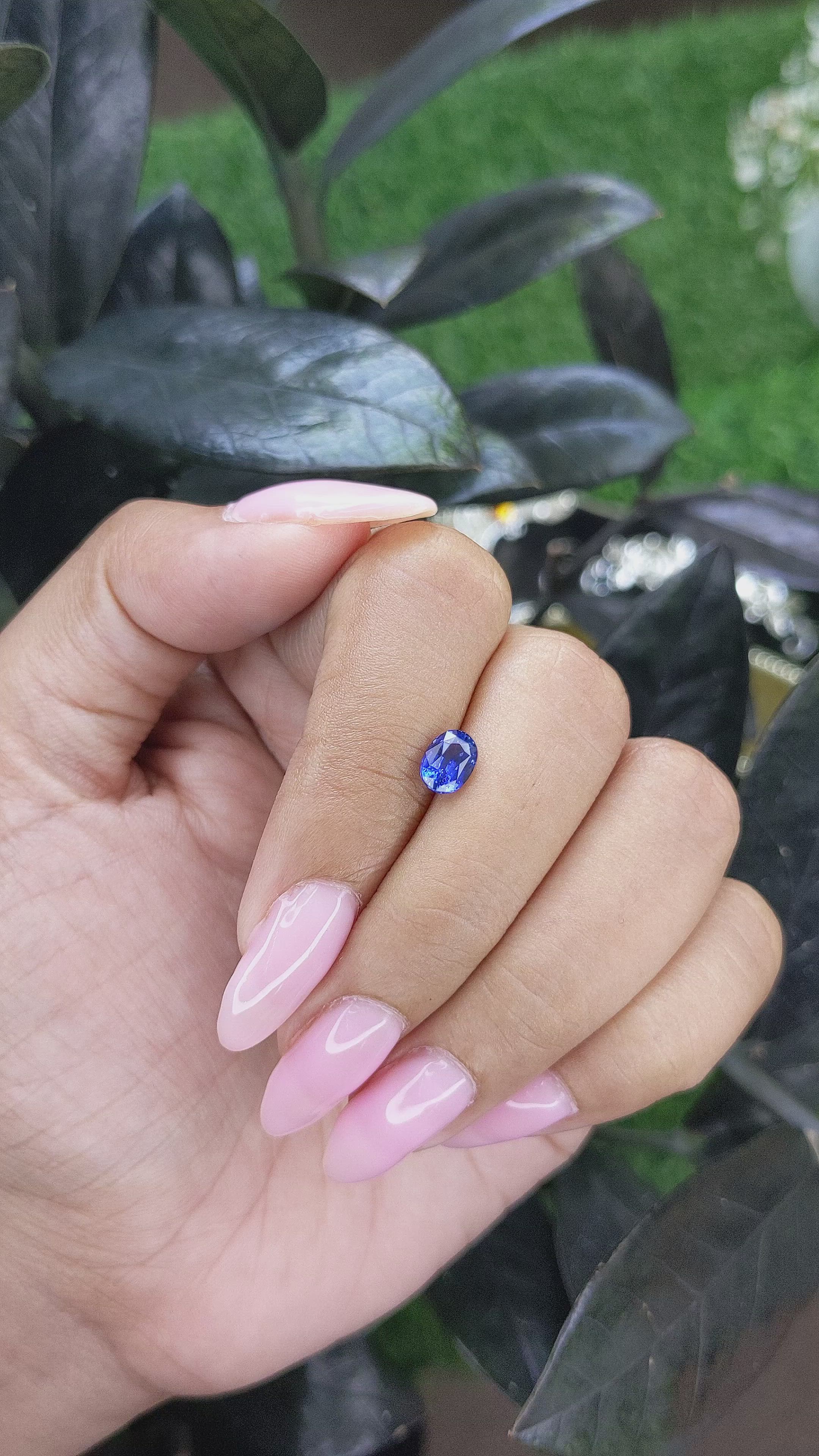 1.06 Ct. Blue Sapphire from Ceylon (Sri Lanka) Size Video