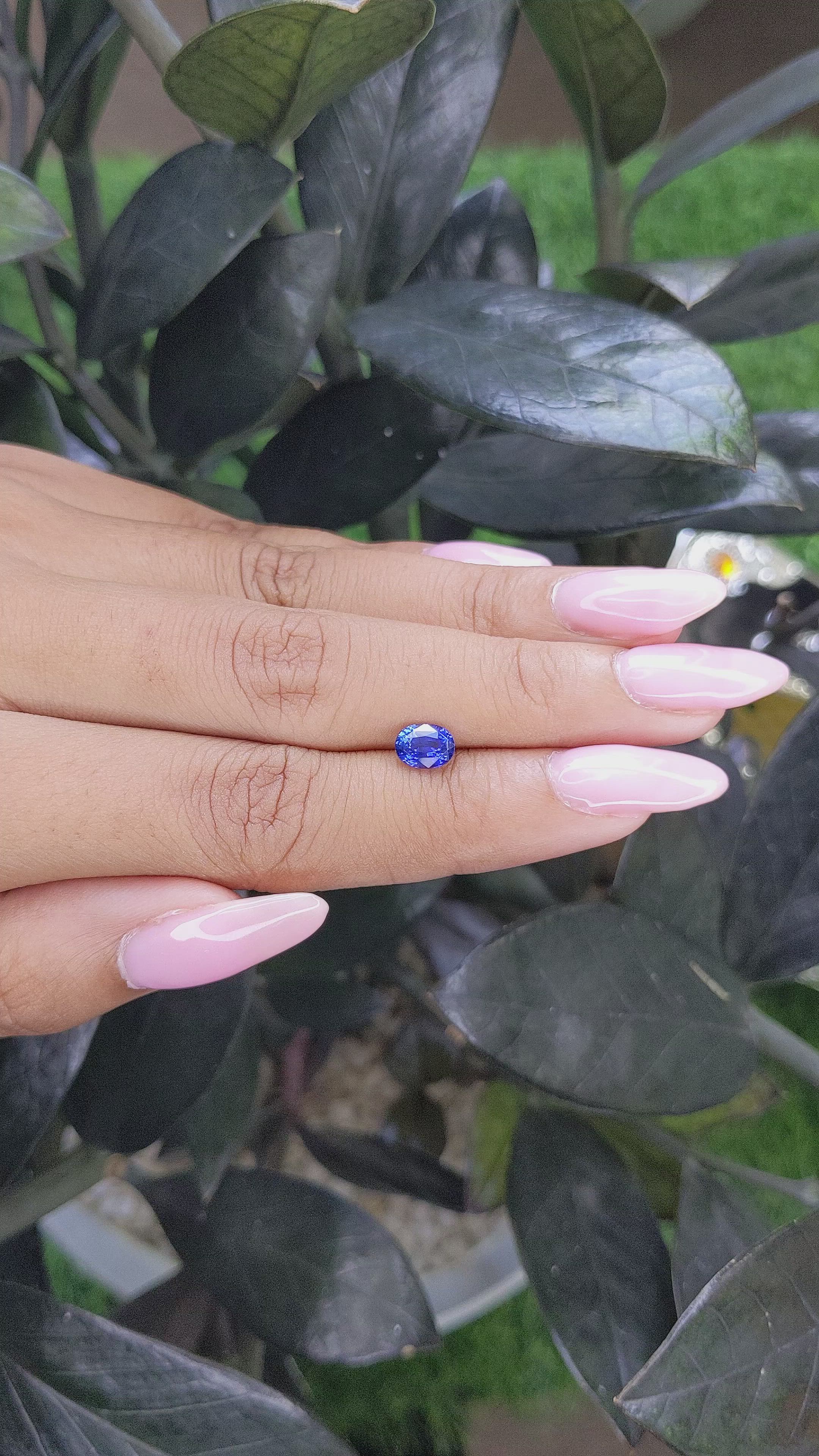 1.06 Ct. Blue Sapphire from Ceylon (Sri Lanka) Size Video