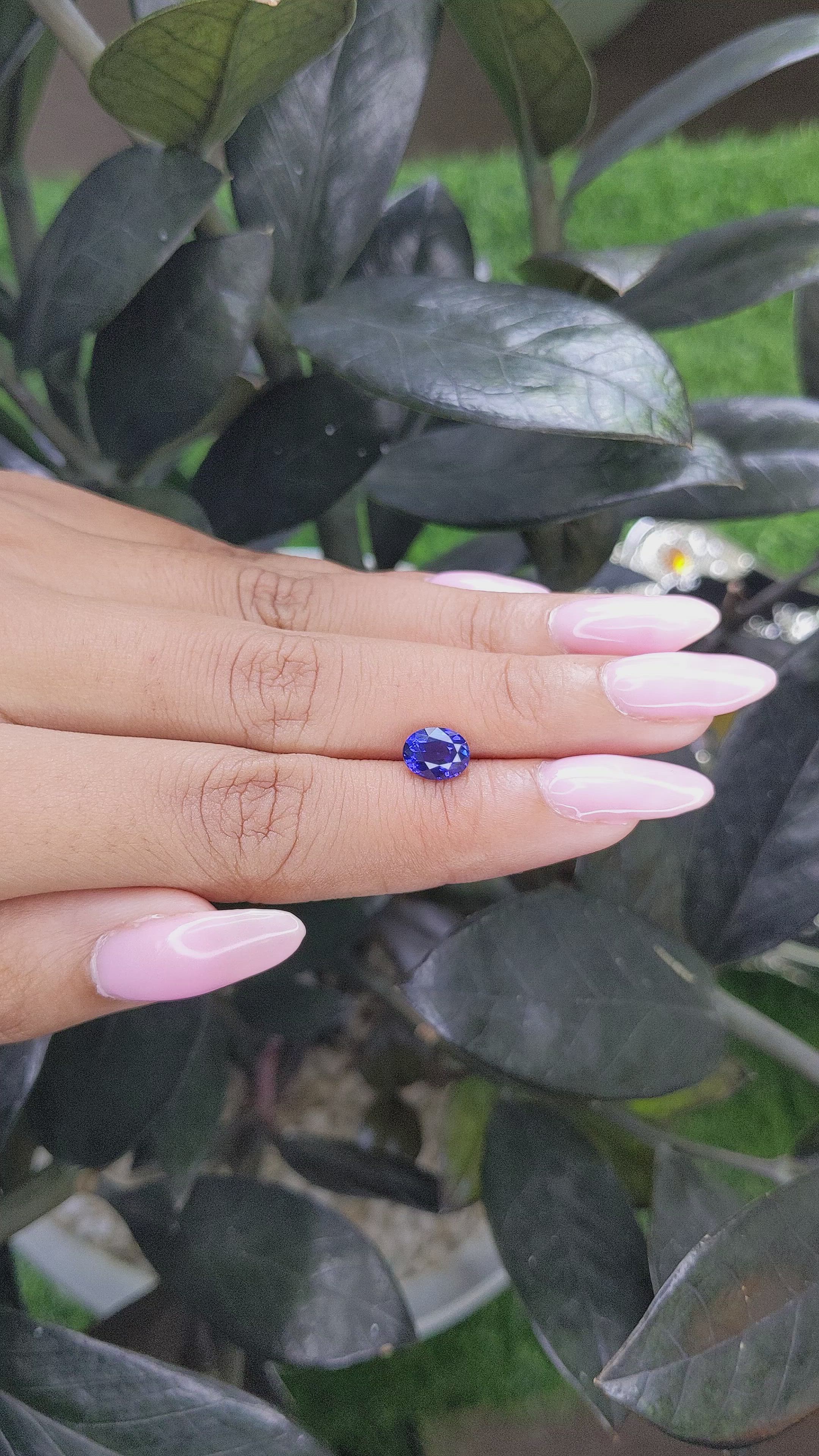 1.60 Ct. Color Change Sapphire from Ceylon (Sri Lanka) Size Video