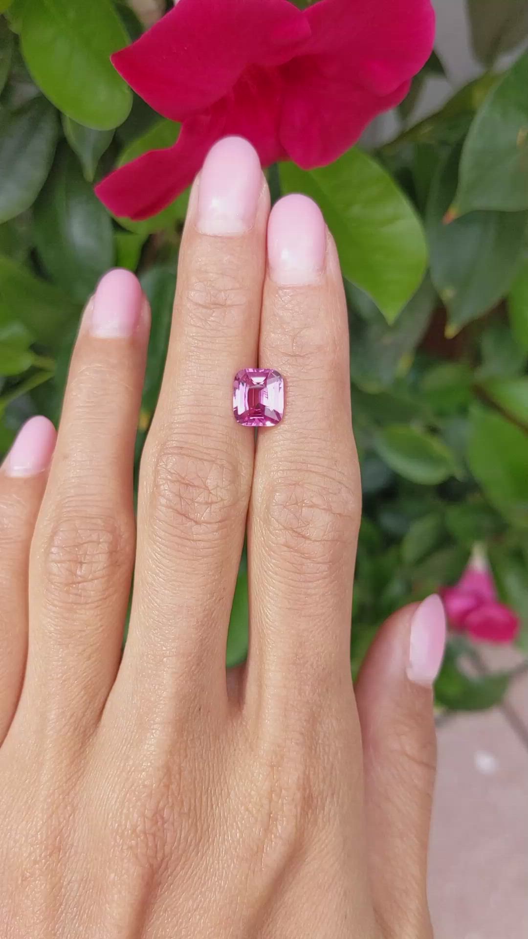 2.68 Ct. Pink Sapphire from Ceylon (Sri Lanka) Size Video