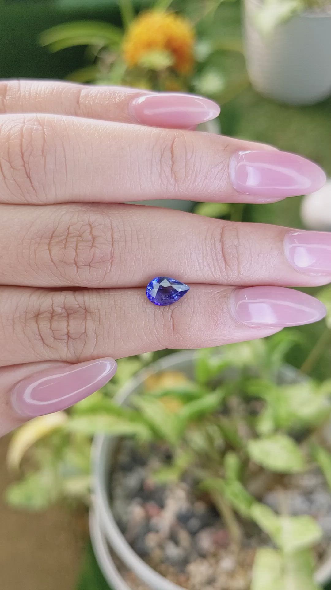 1.57 Ct. Blue Sapphire from Ceylon (Sri Lanka) Size Video
