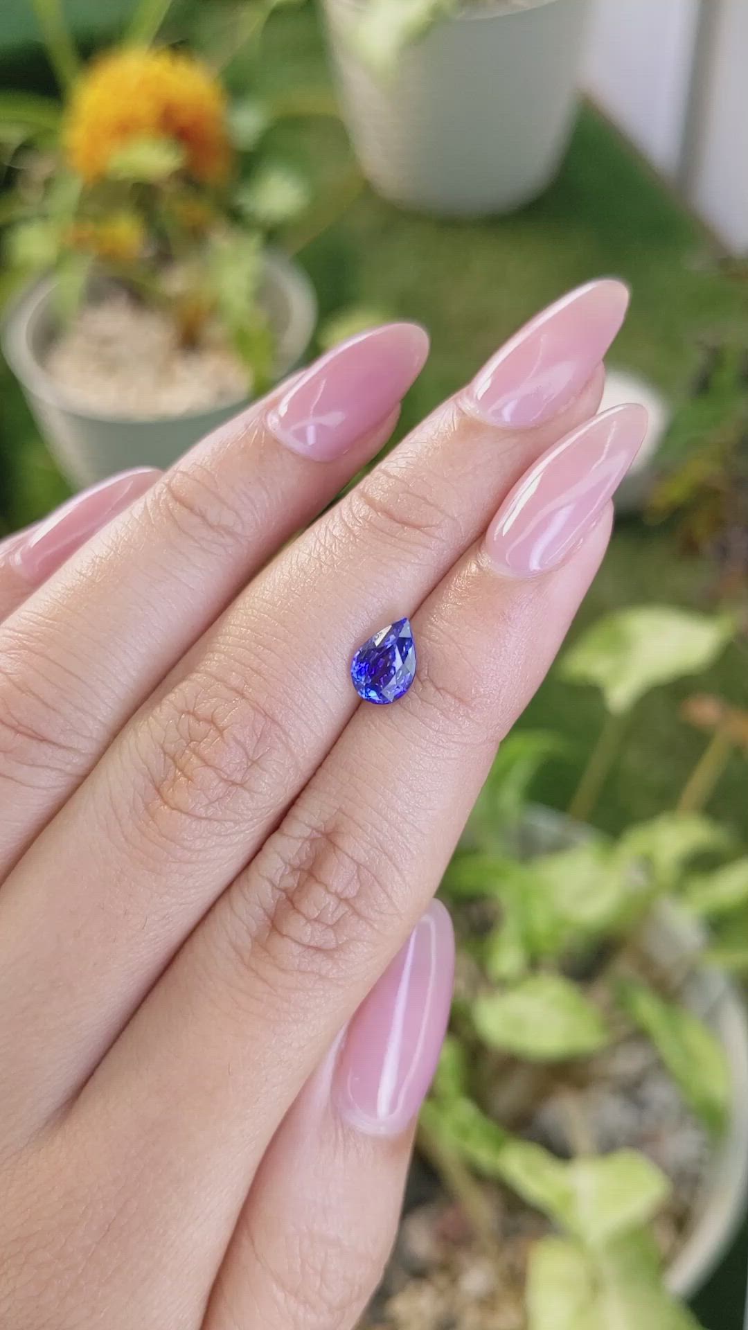 1.57 Ct. Blue Sapphire from Ceylon (Sri Lanka) Size Video