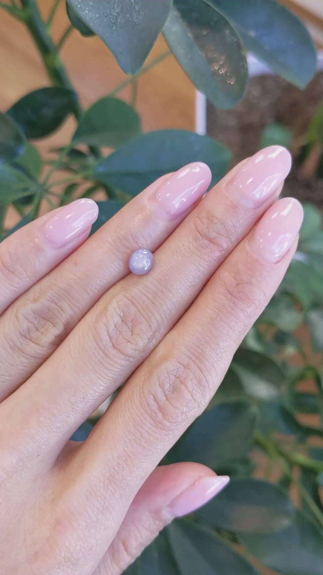 1.45 Ct. Grey Star Sapphire from Ceylon (Sri Lanka) Size Video