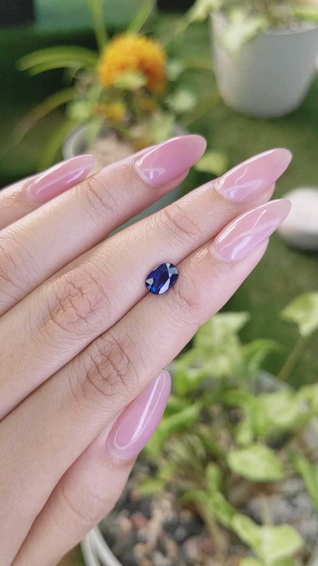1.56 Ct. Blue Sapphire from Ceylon (Sri Lanka) Size Video
