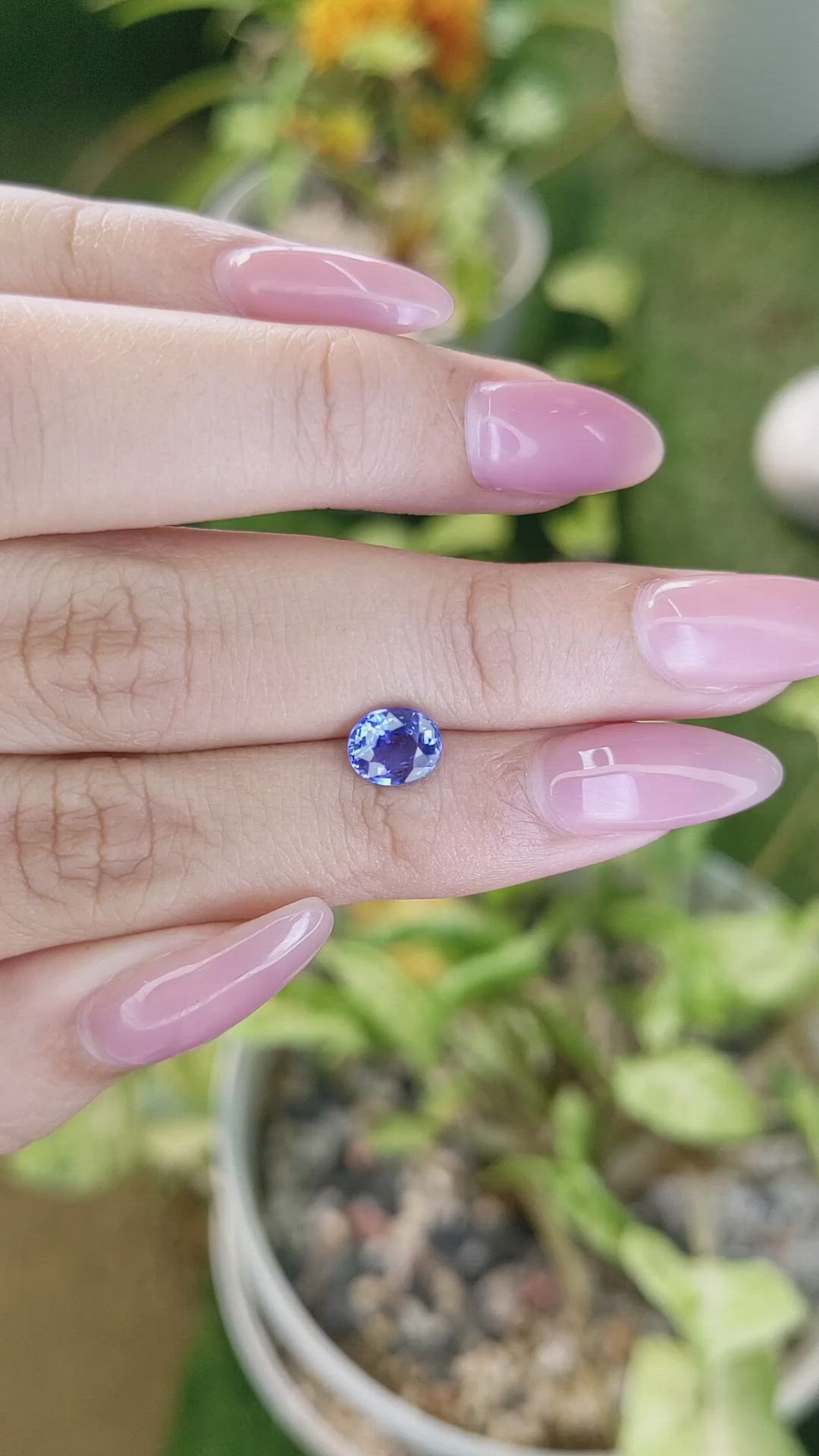1.42 Ct. Blue Sapphire from Ceylon (Sri Lanka) Size Video