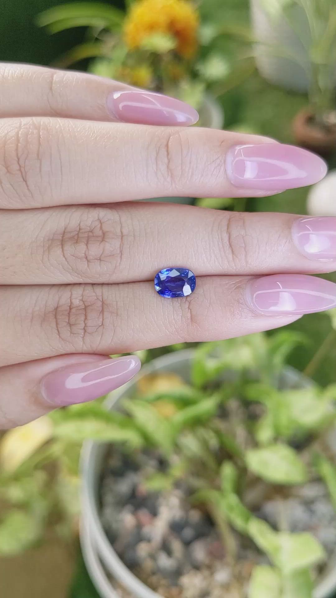 1.39 Ct. Blue Sapphire from Ceylon (Sri Lanka) Size Video