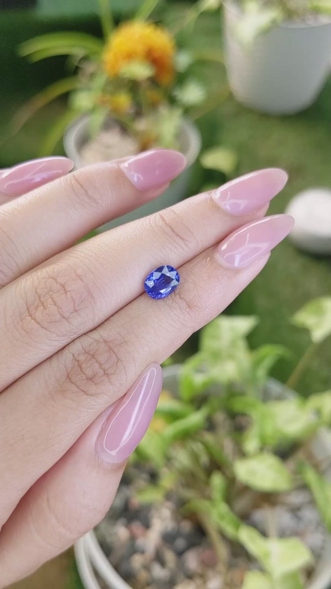1.69 Ct. Blue Sapphire from Ceylon (Sri Lanka) Size Video