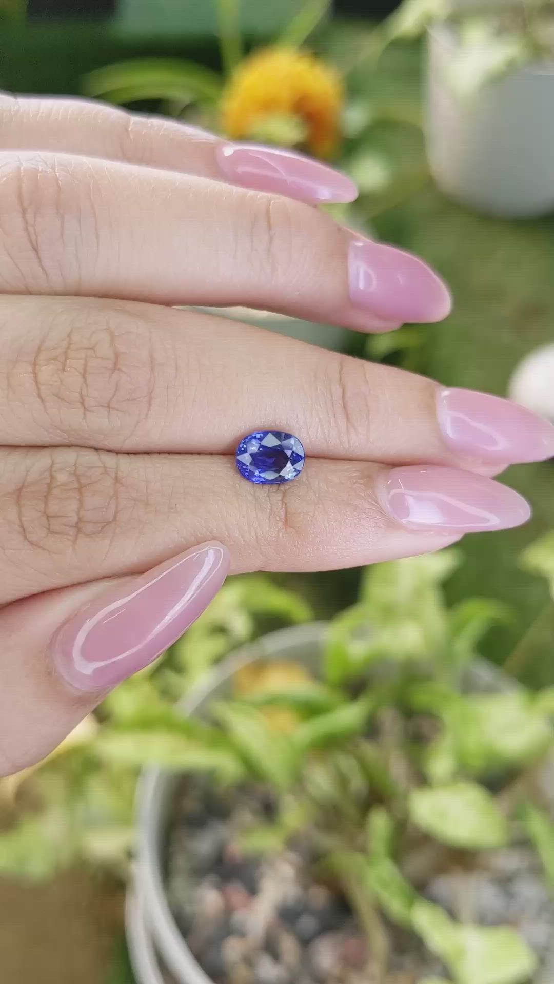 1.69 Ct. Blue Sapphire from Ceylon (Sri Lanka) Size Video