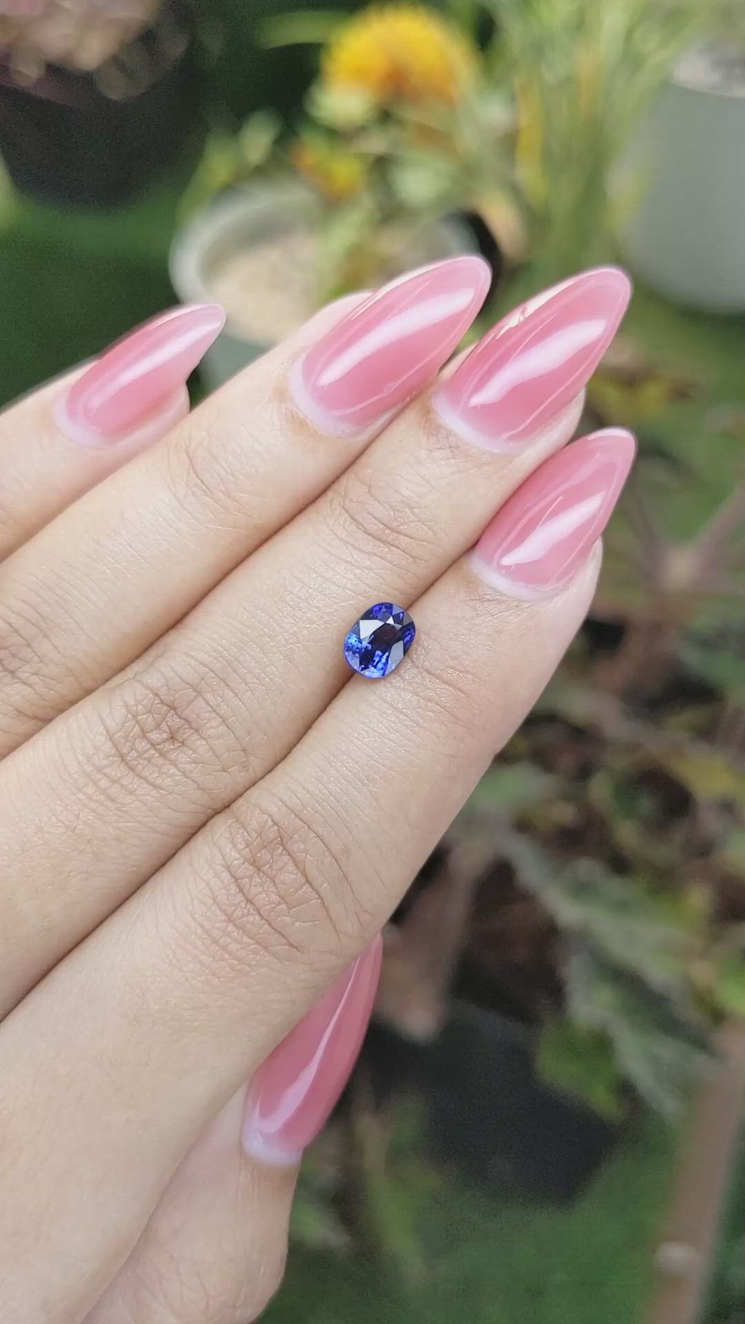 1.37 Ct. Blue Sapphire from Ceylon (Sri Lanka) Size Video