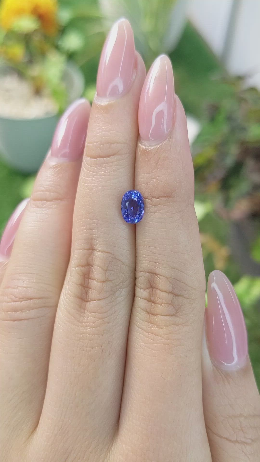 1.53 Ct. Blue Sapphire from Ceylon (Sri Lanka) Size Video