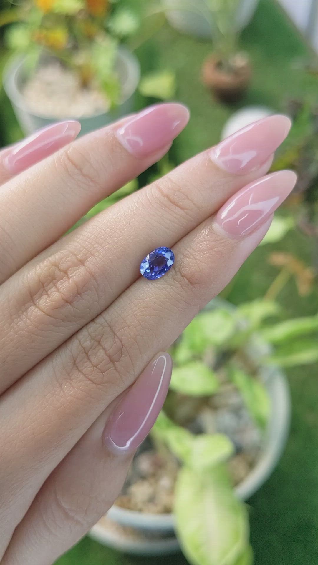 1.53 Ct. Blue Sapphire from Ceylon (Sri Lanka) Size Video