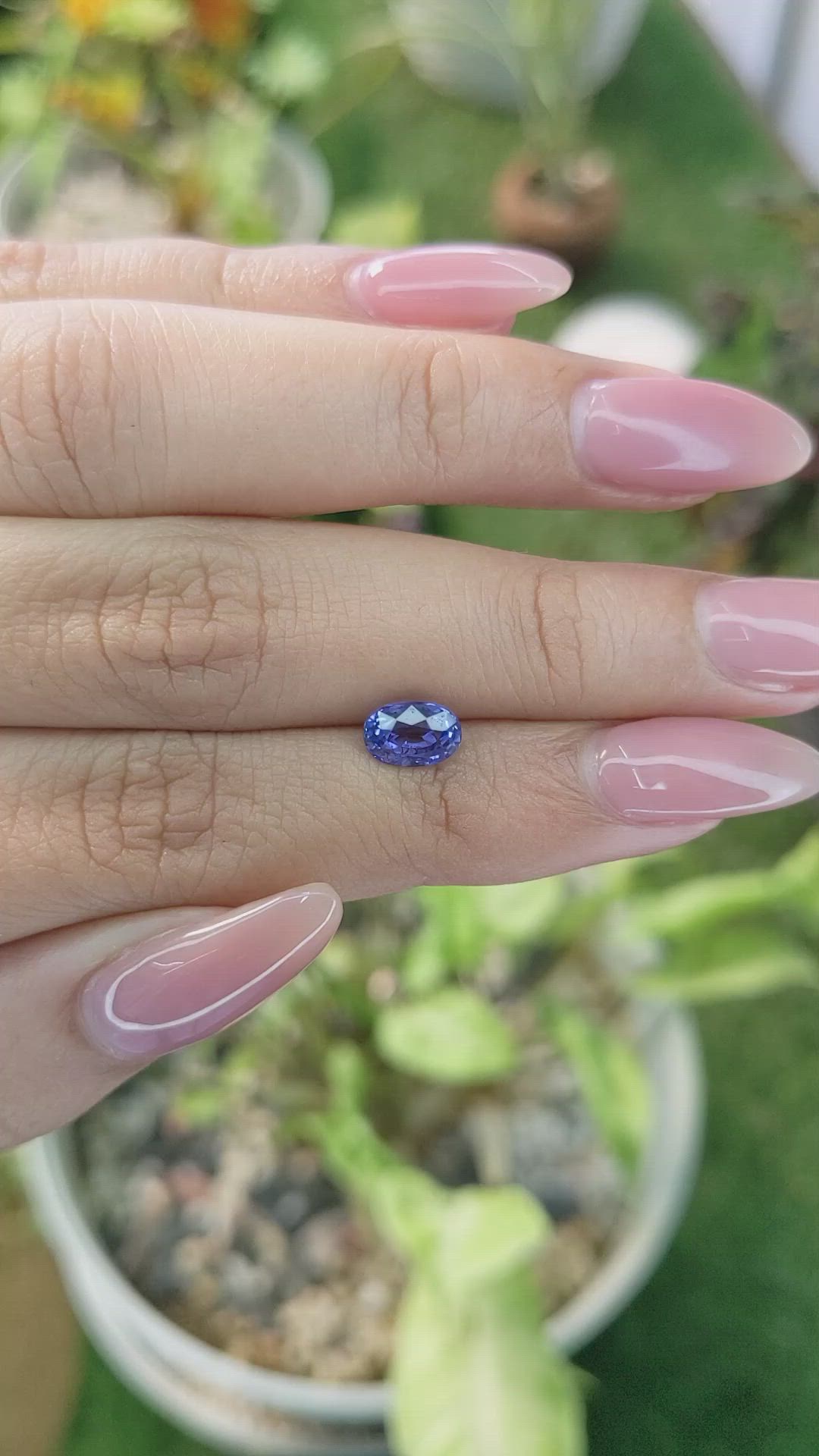 1.53 Ct. Blue Sapphire from Ceylon (Sri Lanka) Size Video