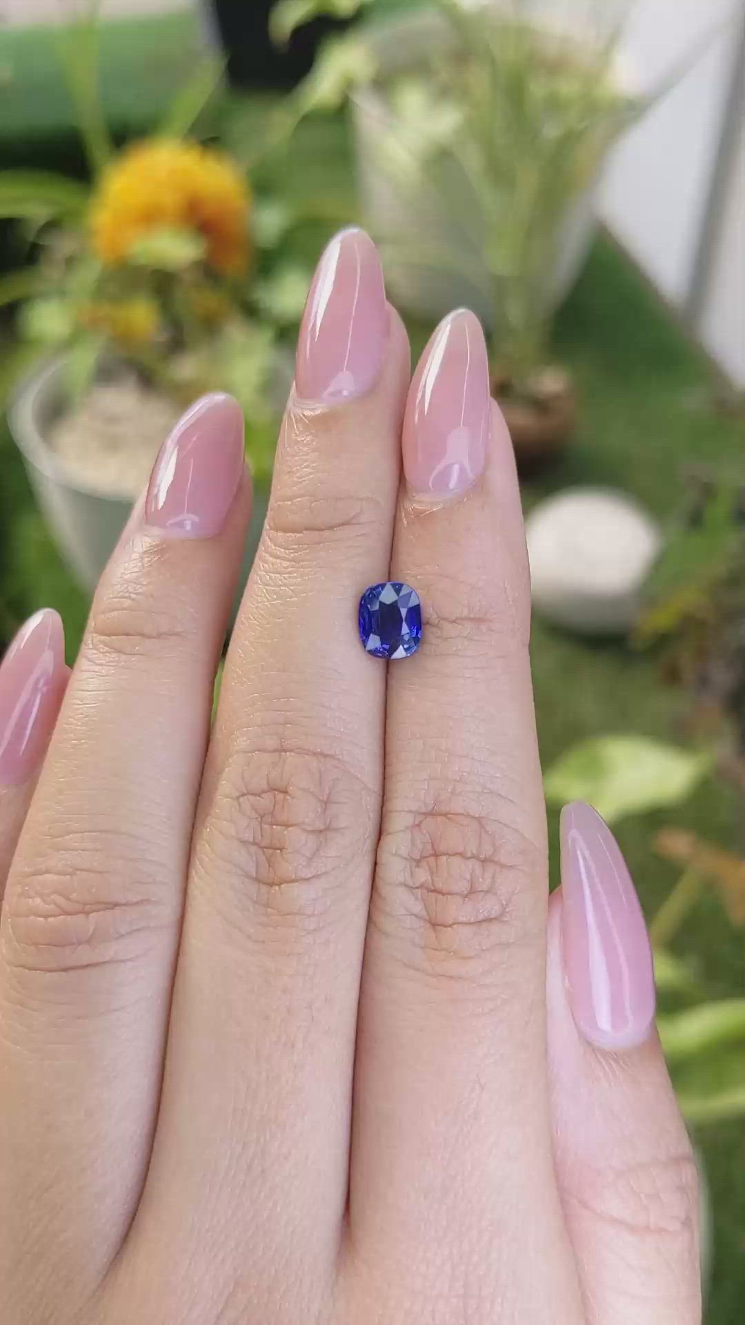 1.53 Ct. Blue Sapphire from Ceylon (Sri Lanka) Size Video