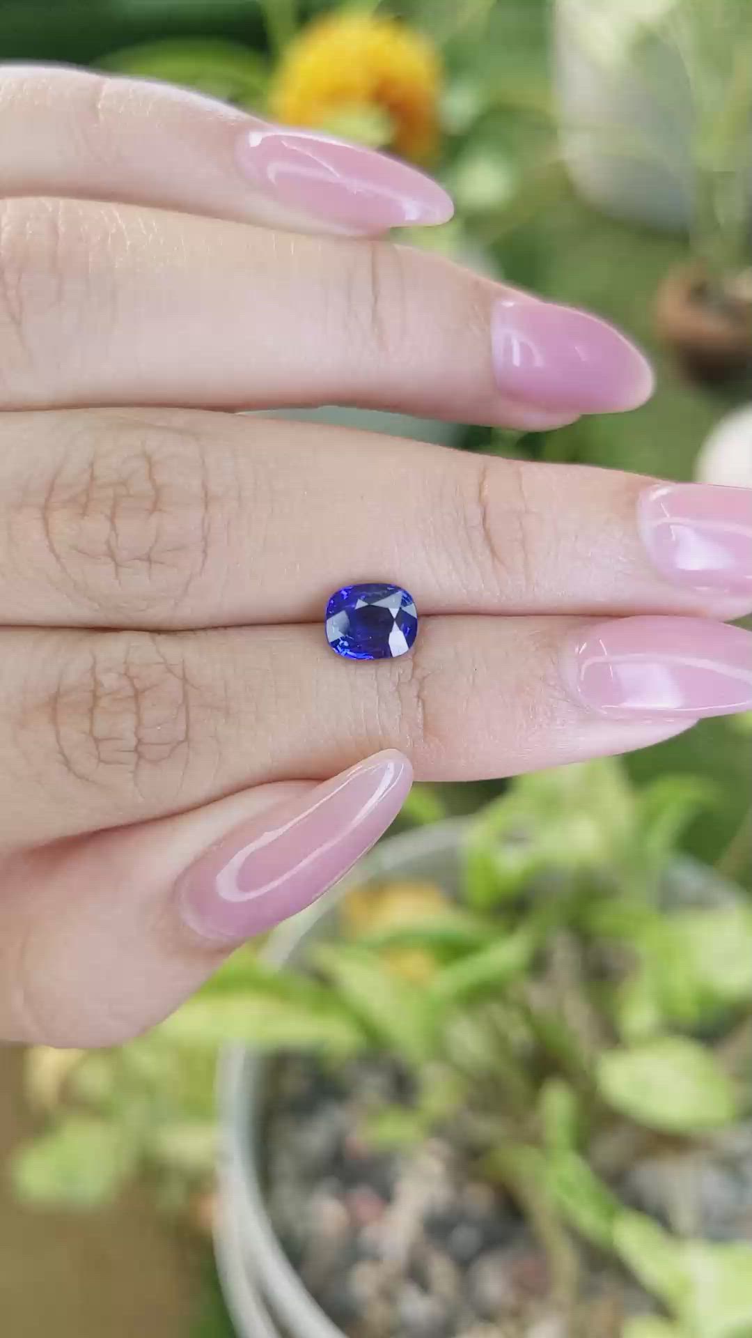 1.53 Ct. Blue Sapphire from Ceylon (Sri Lanka) Size Video
