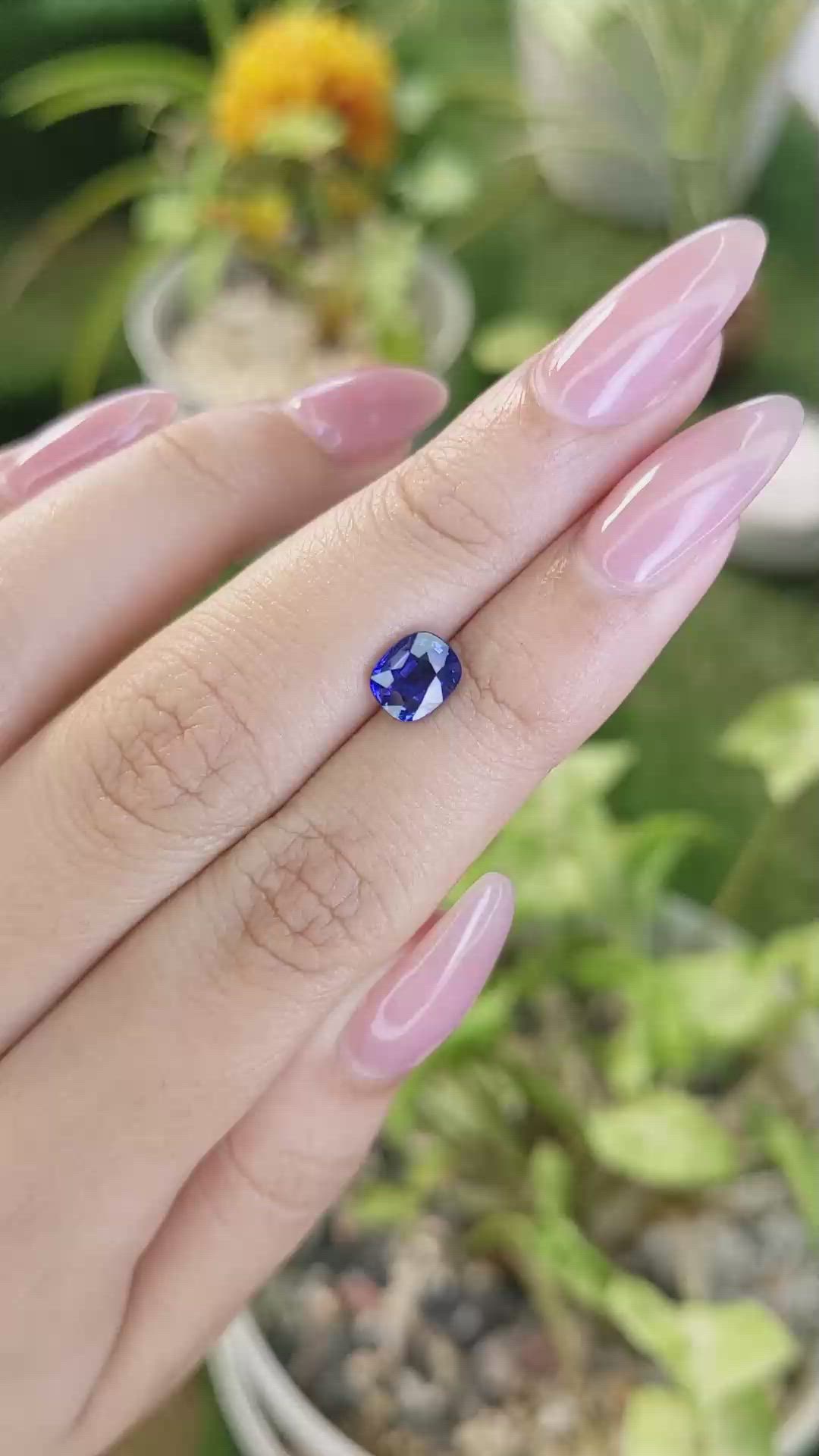 1.53 Ct. Blue Sapphire from Ceylon (Sri Lanka) Size Video