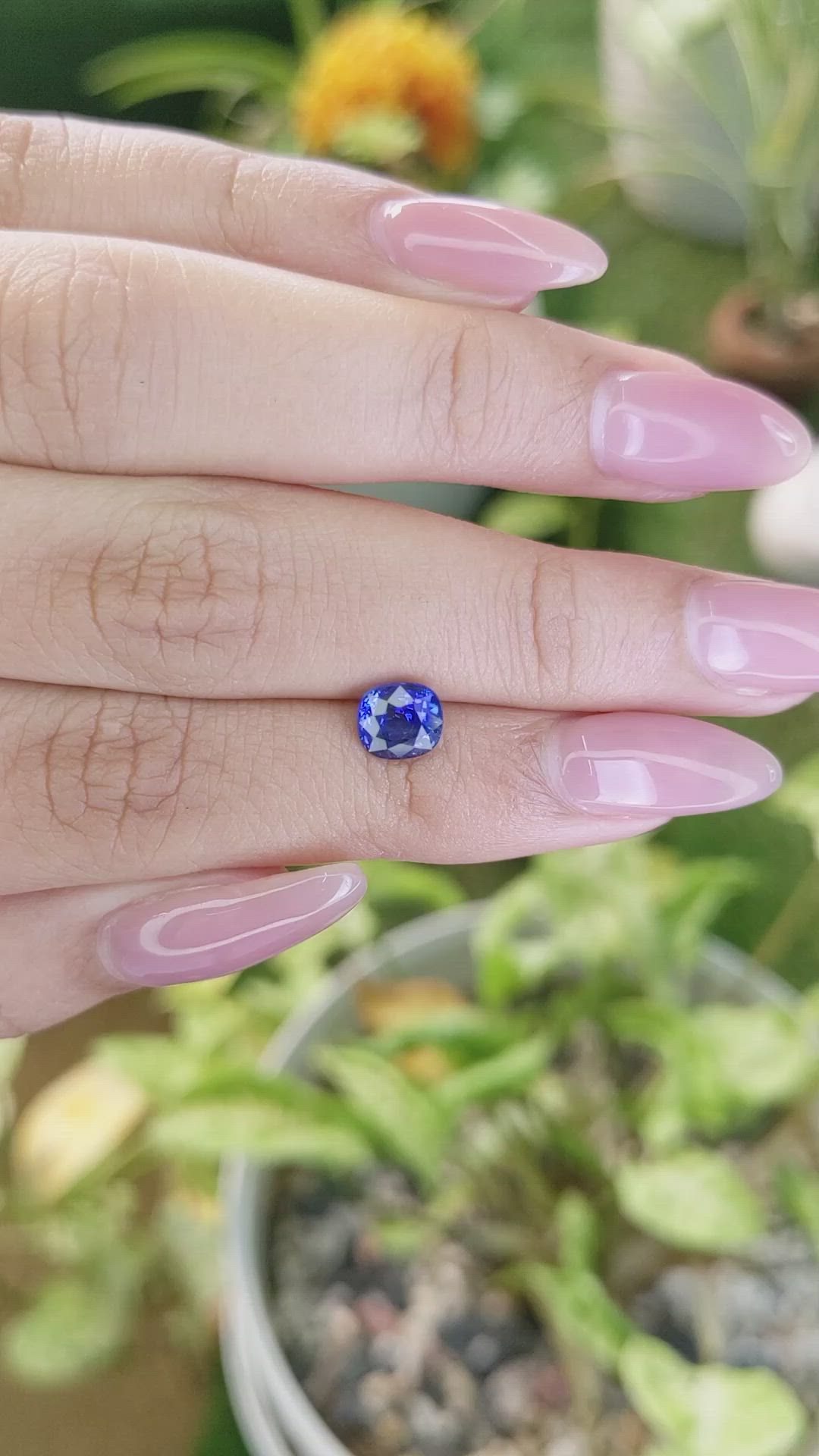 1.48 Ct. Blue Sapphire from Ceylon (Sri Lanka) Size Video