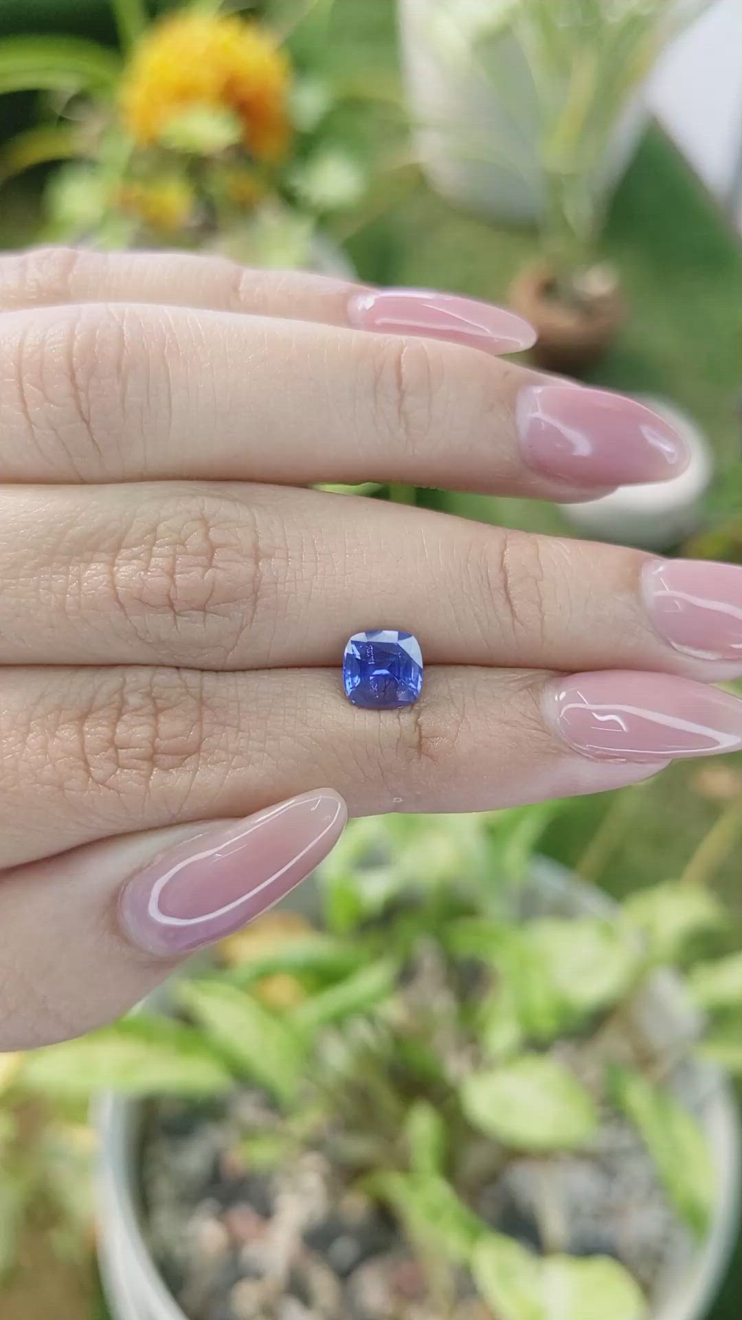 1.64 Ct. Blue Sapphire from Ceylon (Sri Lanka) Size Video