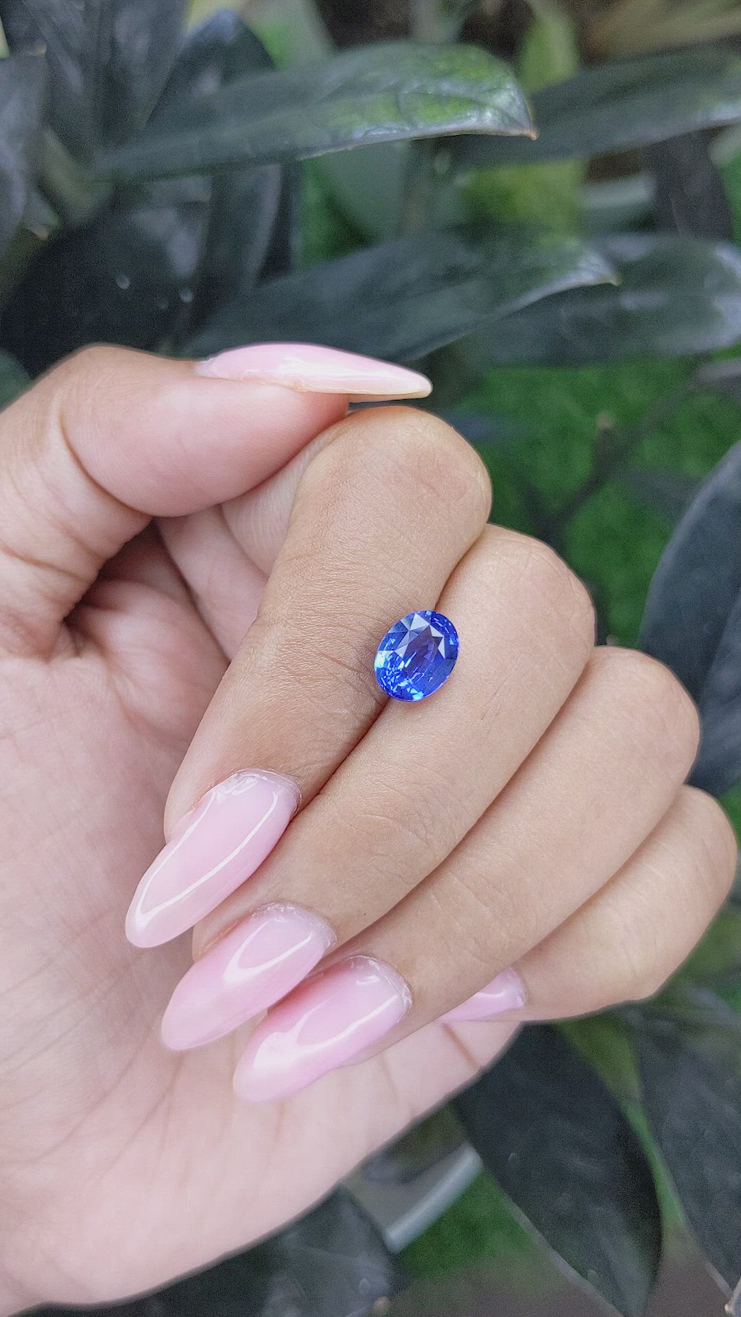 2.56 Ct. Blue Sapphire from Ceylon (Sri Lanka) Size Video