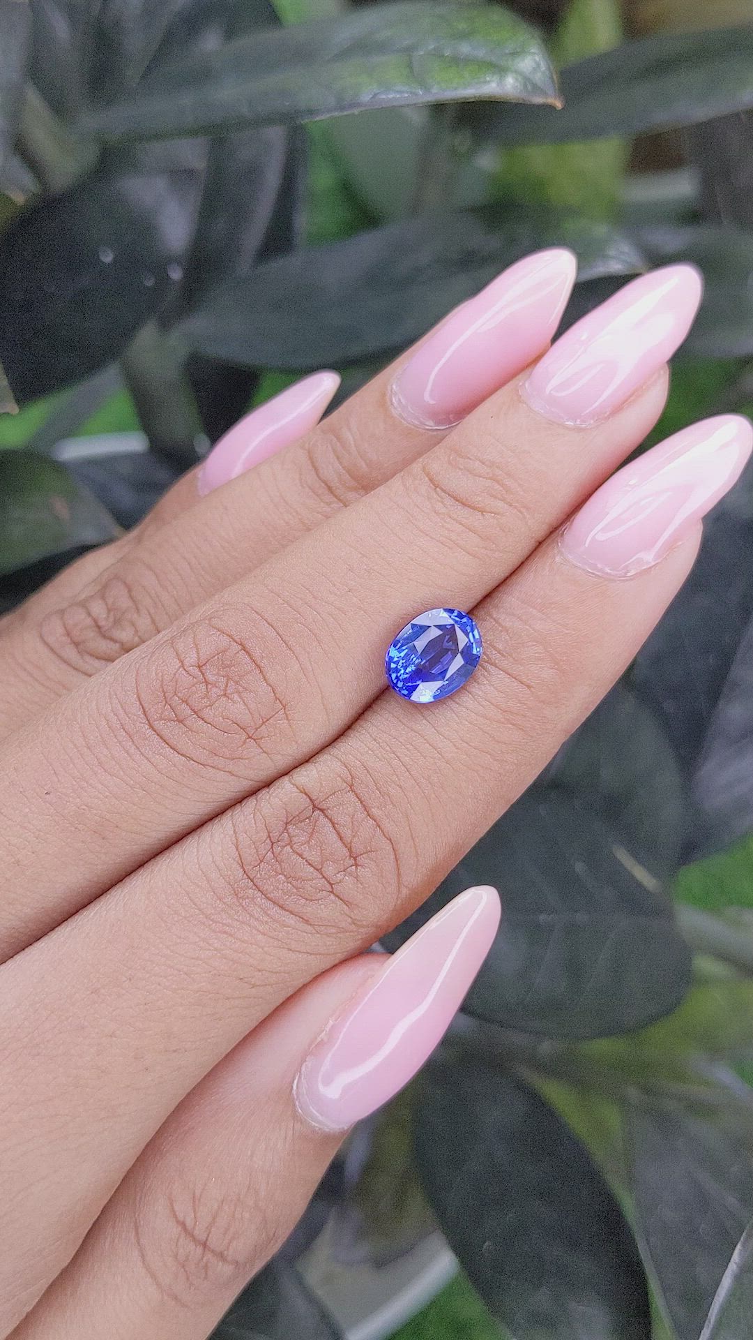 2.56 Ct. Blue Sapphire from Ceylon (Sri Lanka) Size Video