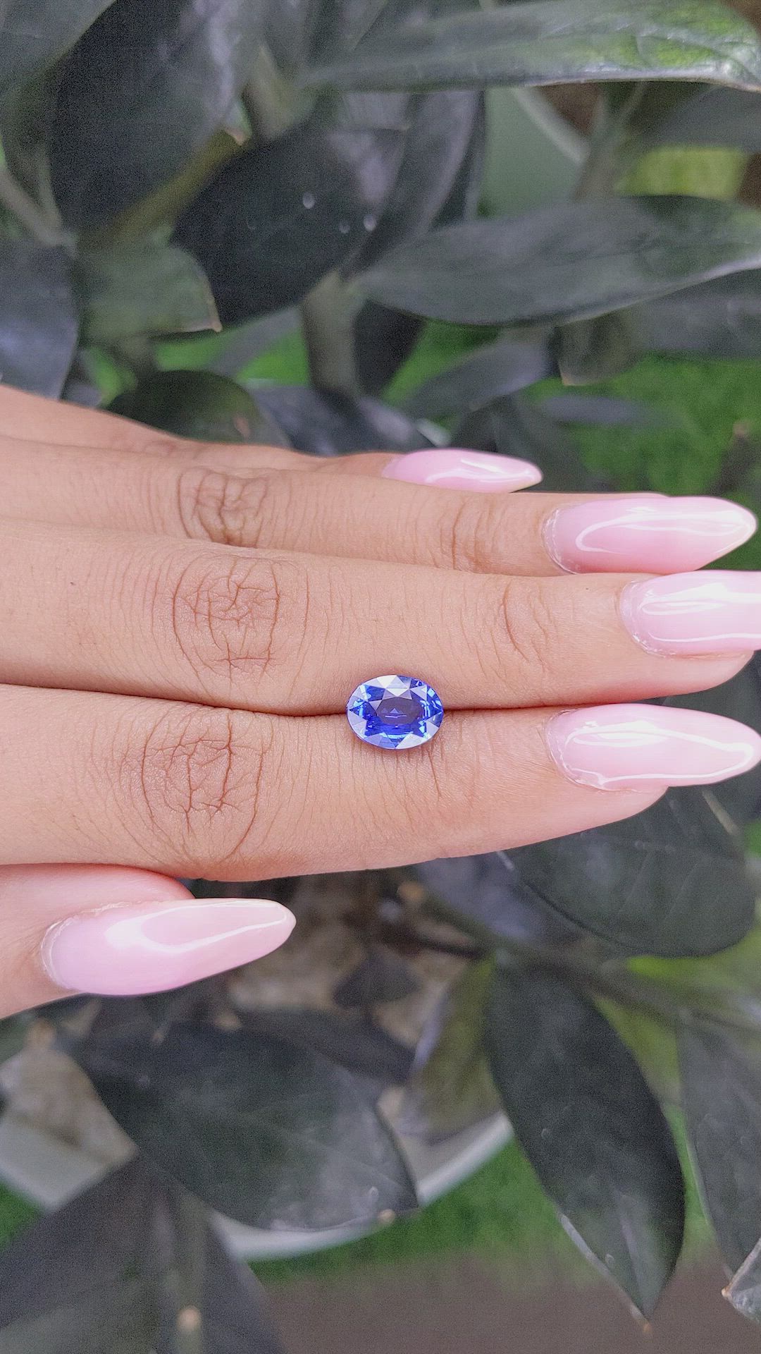 2.56 Ct. Blue Sapphire from Ceylon (Sri Lanka) Size Video