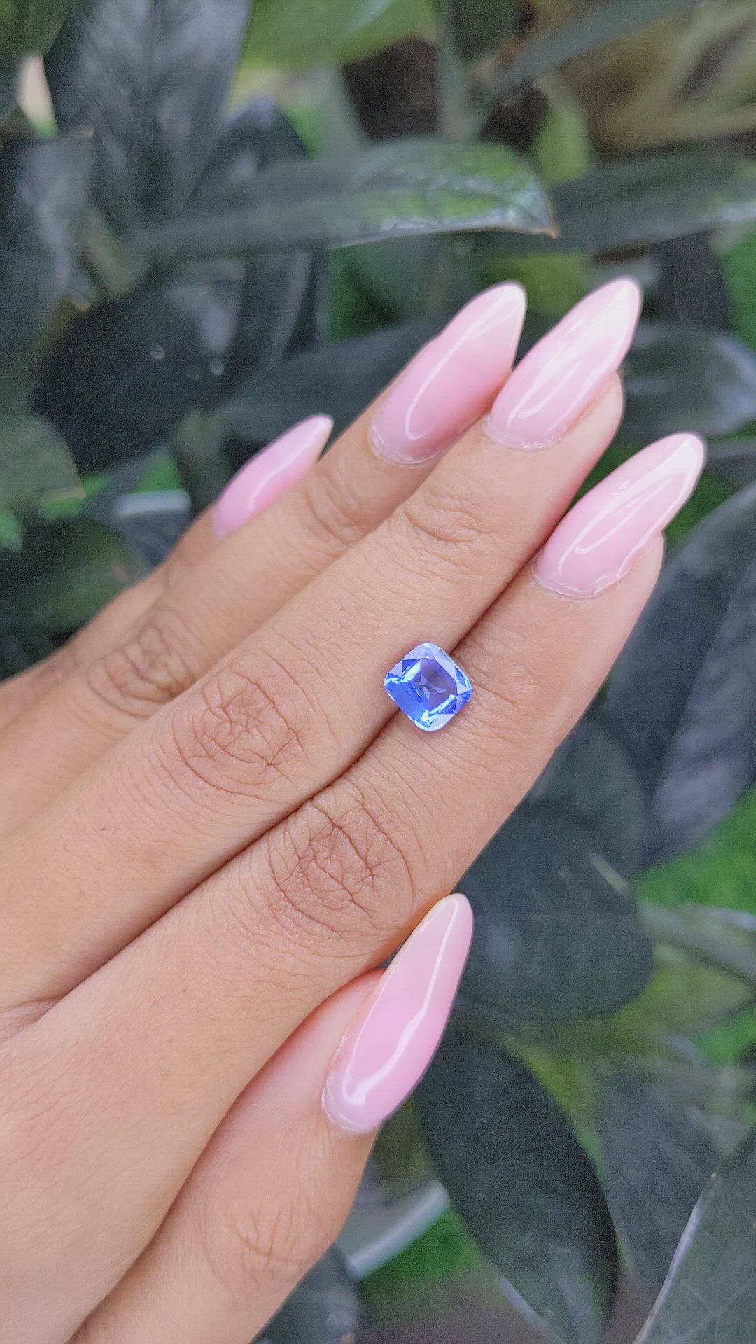 1.65 Ct. Blue Sapphire from Ceylon (Sri Lanka) Size Video