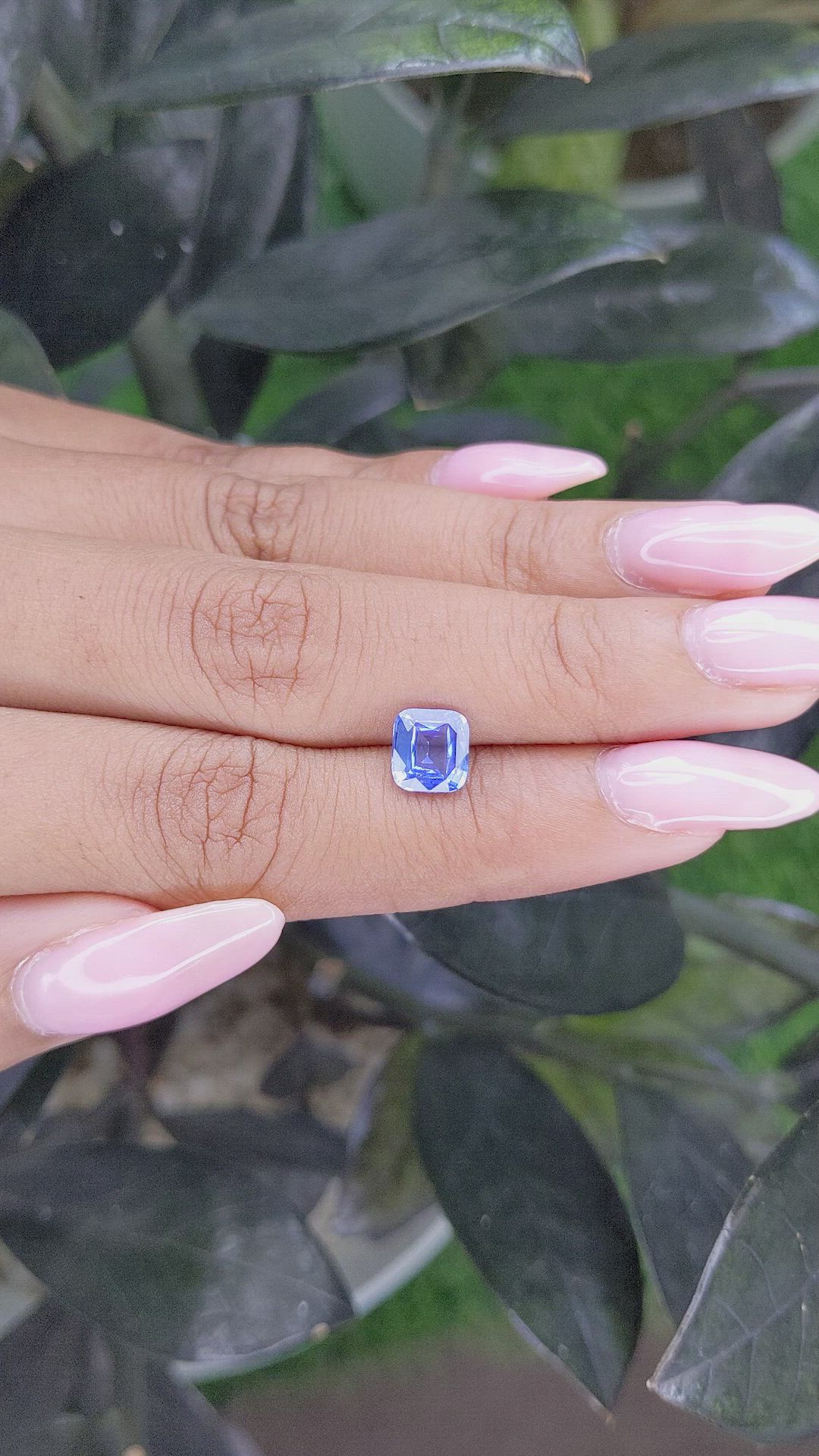 1.65 Ct. Blue Sapphire from Ceylon (Sri Lanka) Size Video
