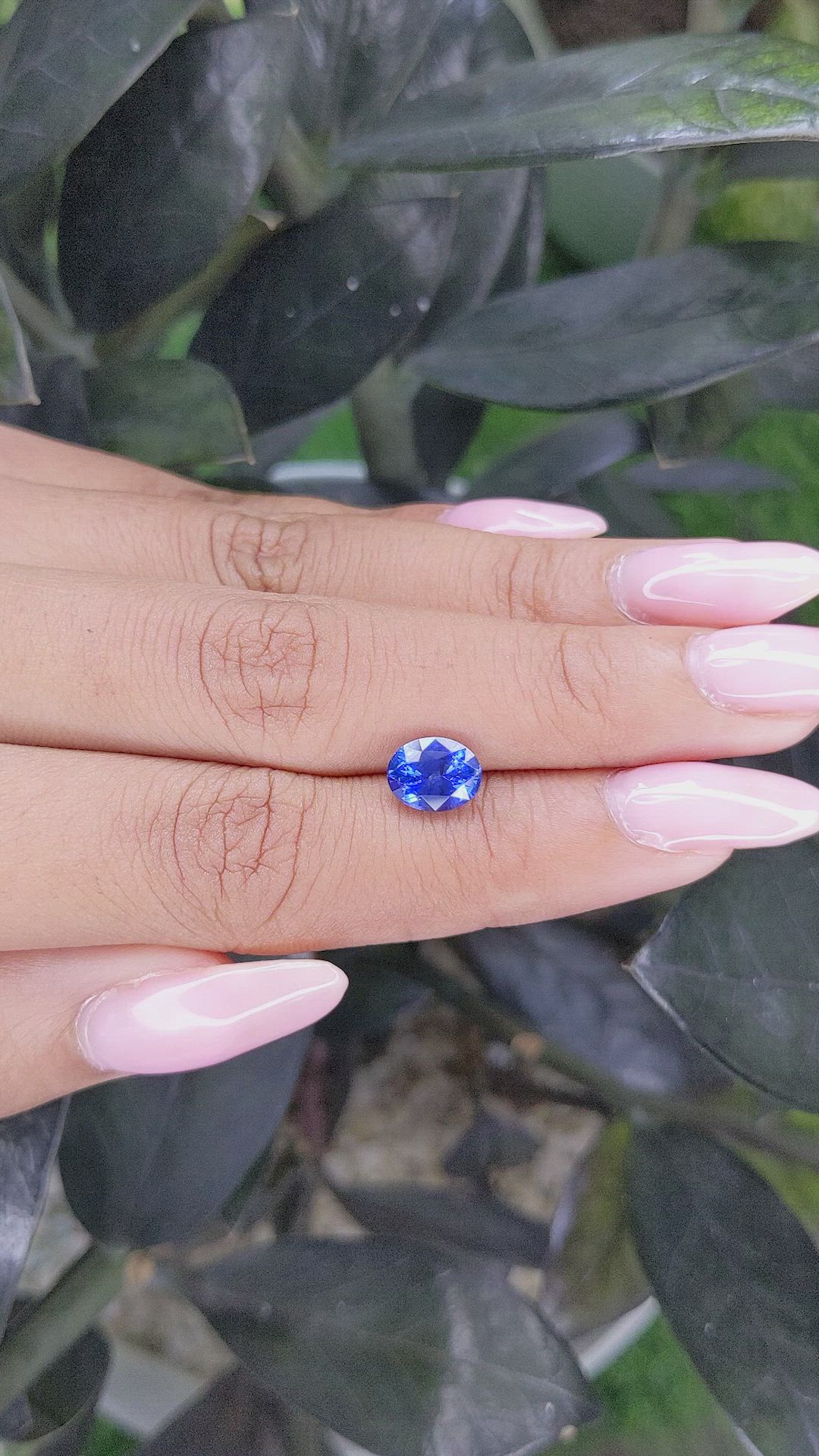 2.02 Ct. Blue Sapphire from Ceylon (Sri Lanka) Size Video