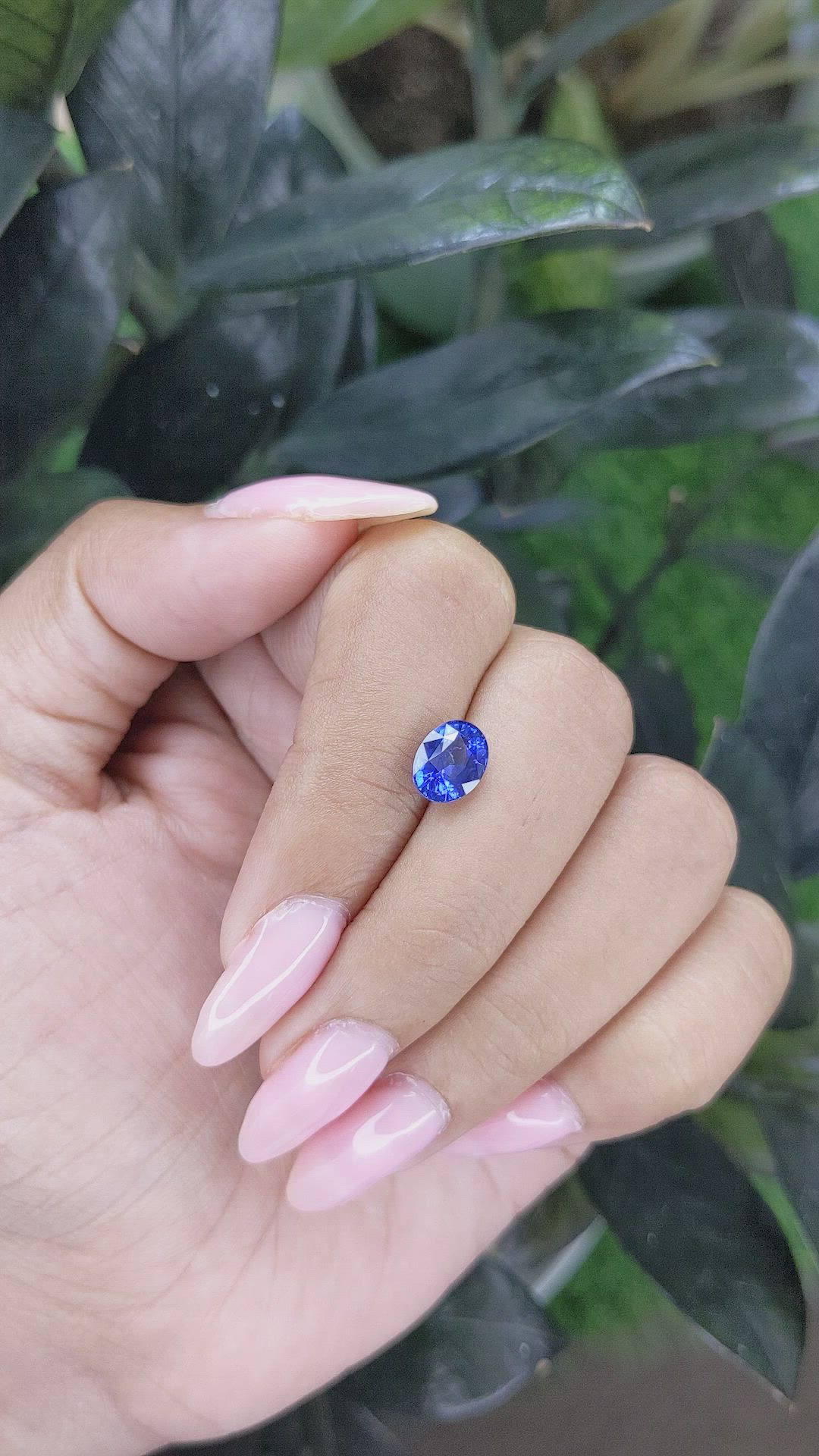 2.02 Ct. Blue Sapphire from Ceylon (Sri Lanka) Size Video