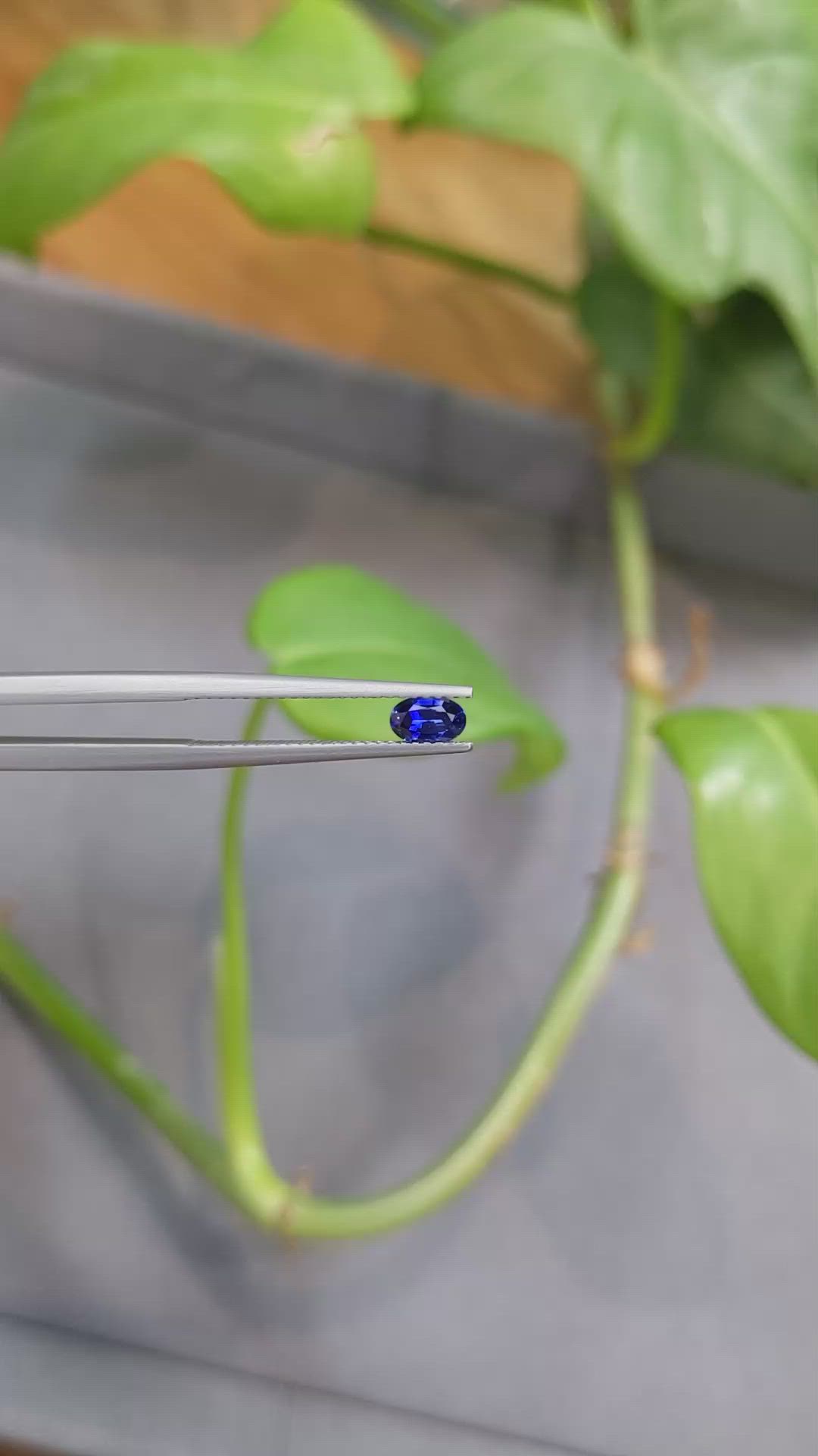 0.43 Ct. Blue Sapphire from Ceylon (Sri Lanka) Size Video