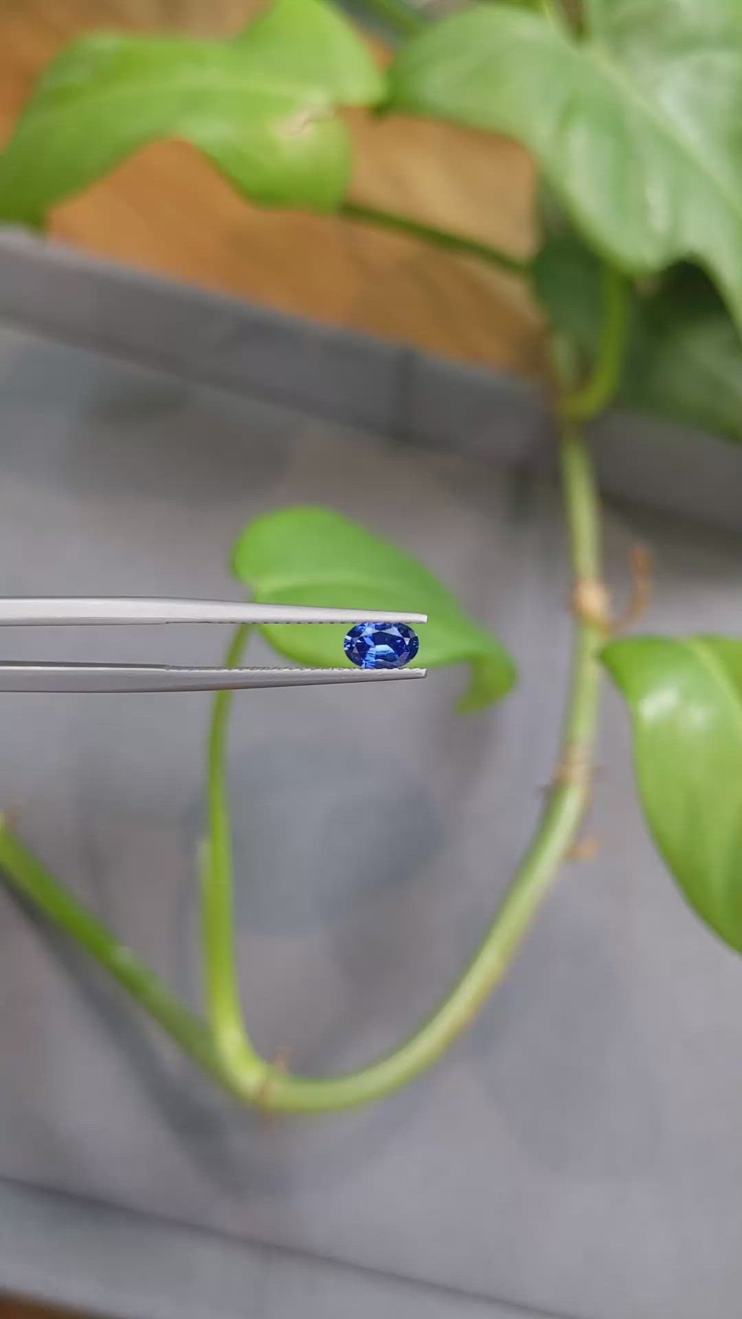 0.44 Ct. Blue Sapphire from Ceylon (Sri Lanka) Size Video
