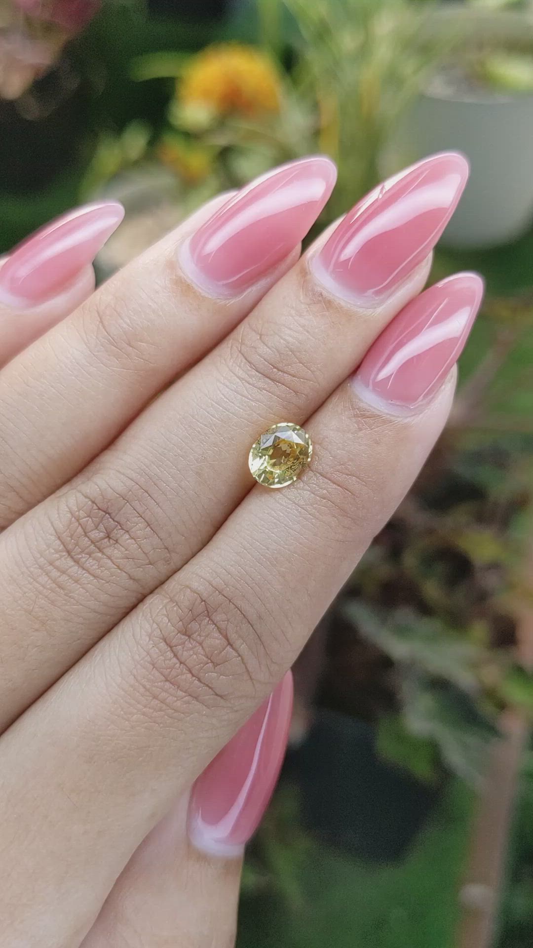 1.46 Ct. Yellow Sapphire from Ceylon (Sri Lanka) Size Video