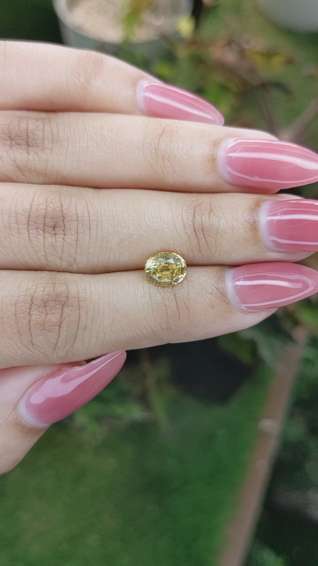 1.46 Ct. Yellow Sapphire from Ceylon (Sri Lanka) Size Video