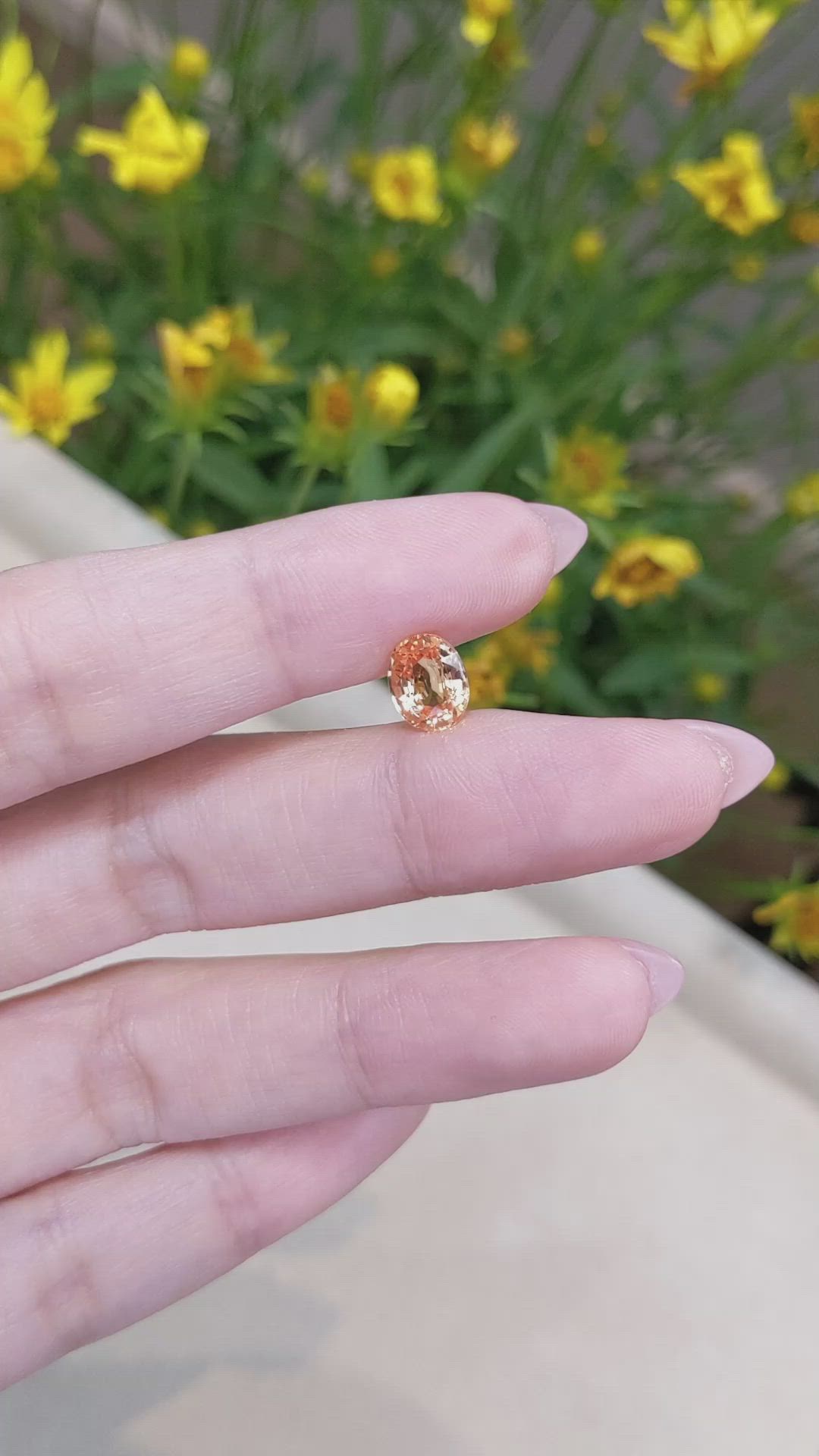 2.07 Ct. Peach Sapphire from Ceylon (Sri Lanka) Size Video