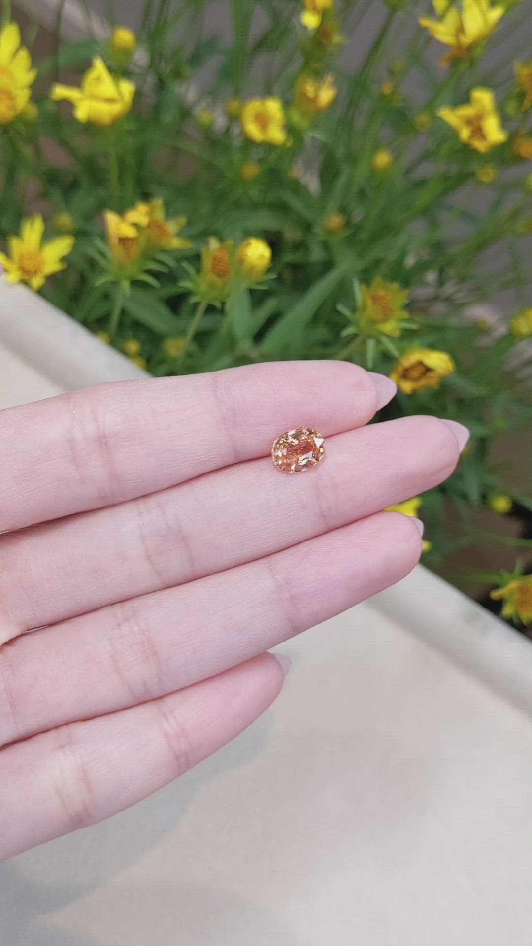 2.07 Ct. Peach Sapphire from Ceylon (Sri Lanka) Size Video