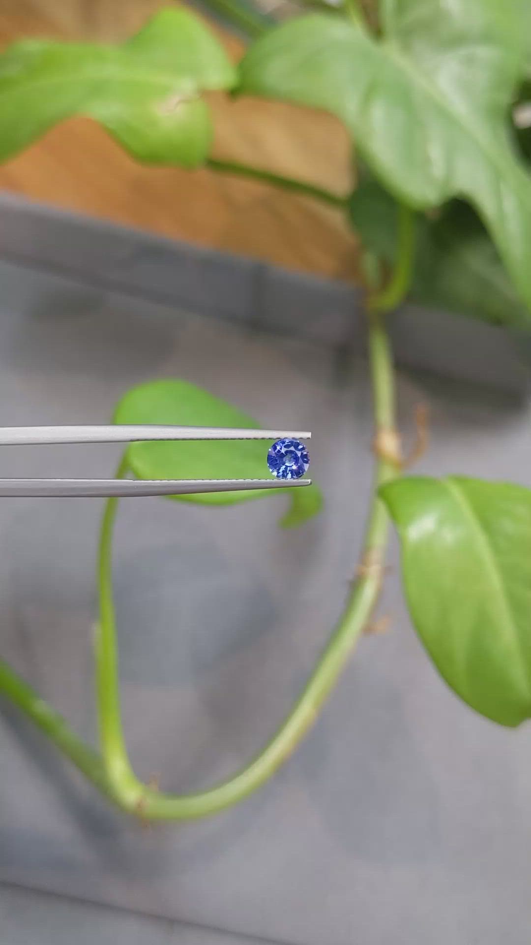 0.51 Ct. Blue Sapphire from Ceylon (Sri Lanka) Size Video