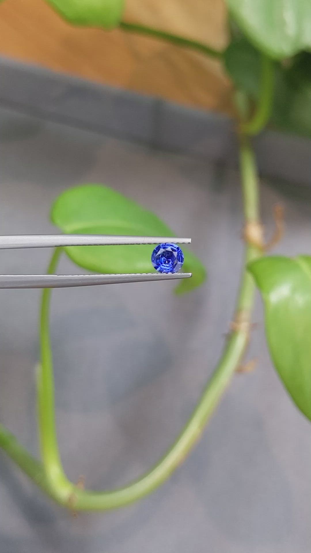 0.46 Ct. Blue Sapphire from Ceylon (Sri Lanka) Size Video