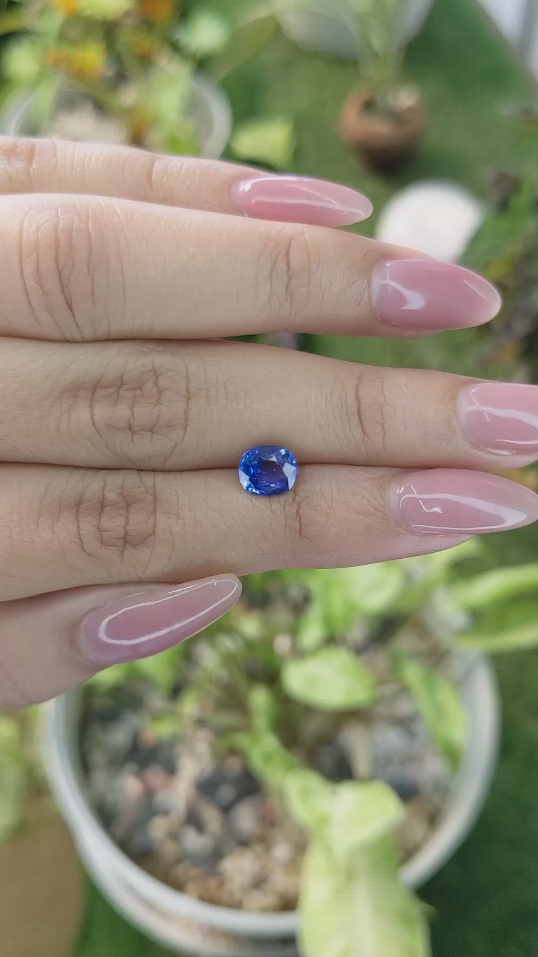 1.60 Ct. Blue Sapphire from Ceylon (Sri Lanka) Size Video