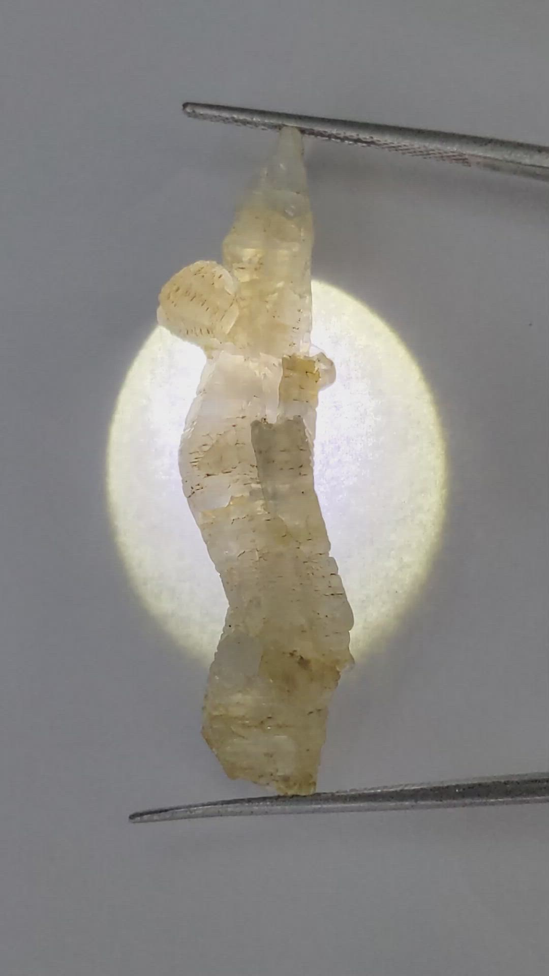 31.08 Ct. Yellow Sapphire Crystal from Ceylon (Sri Lanka) Size Video