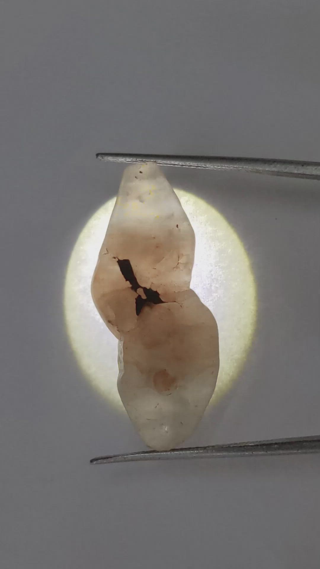 42.44 Ct. Bi Color Rough Sapphire from Ceylon (Sri Lanka) Size Video
