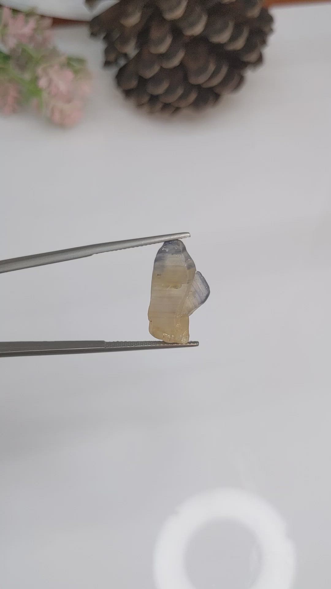 15.46 Ct. Bi Color Rough Sapphire from Ceylon (Sri Lanka) Size Video