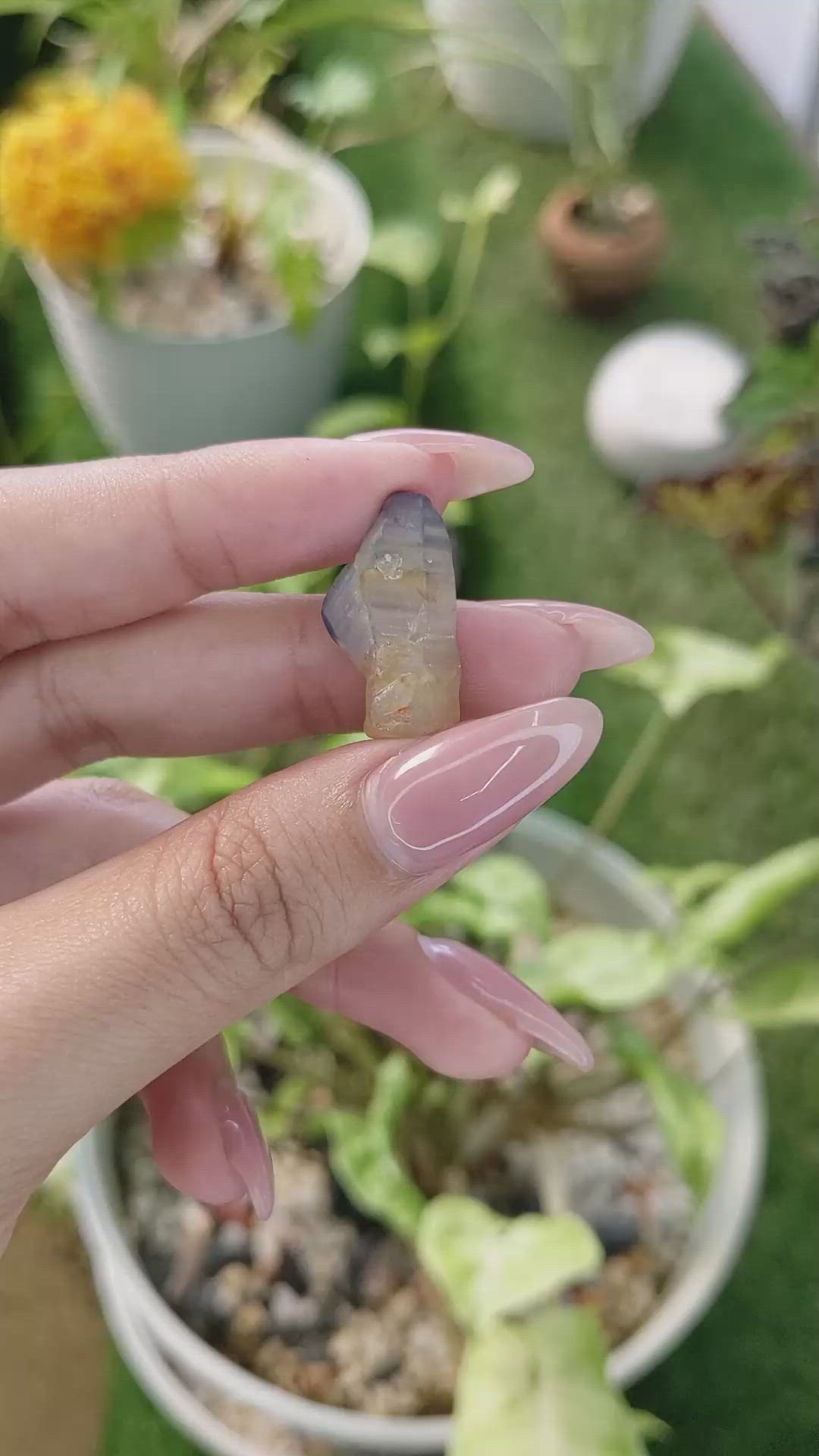15.46 Ct. Bi Color Rough Sapphire from Ceylon (Sri Lanka) Size Video